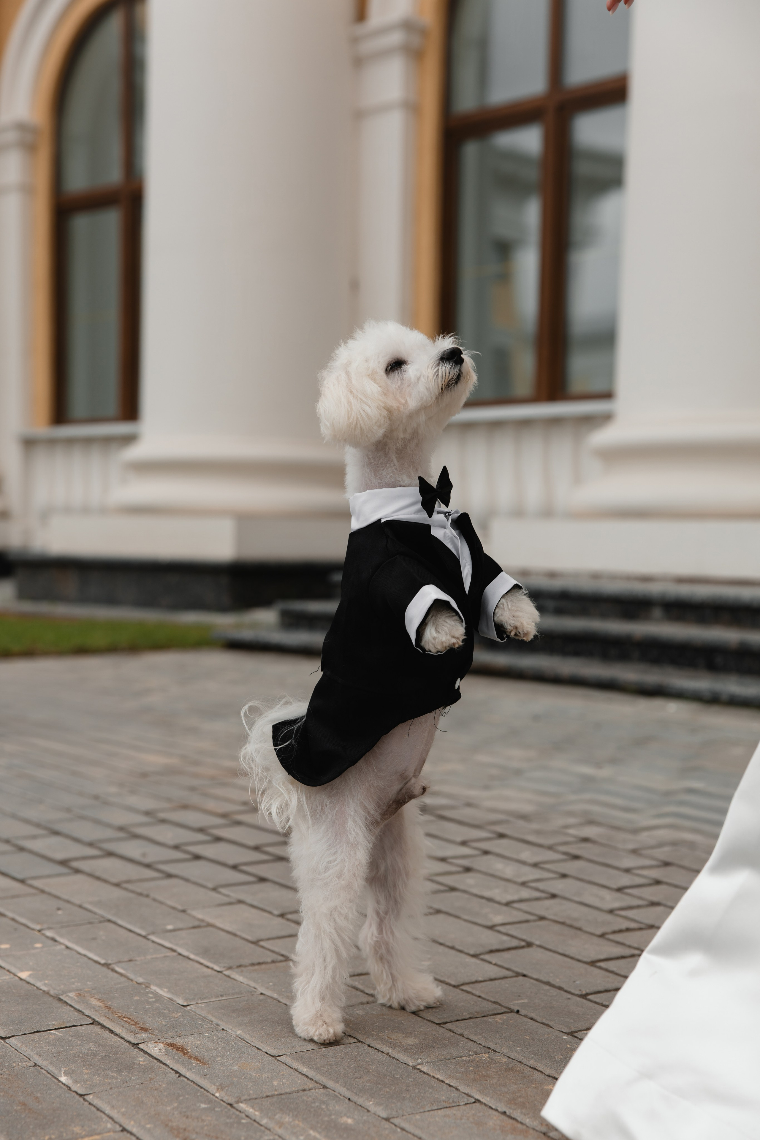 Кристина и Даниил. Семейный и свадебный фотограф Нижний Новгород