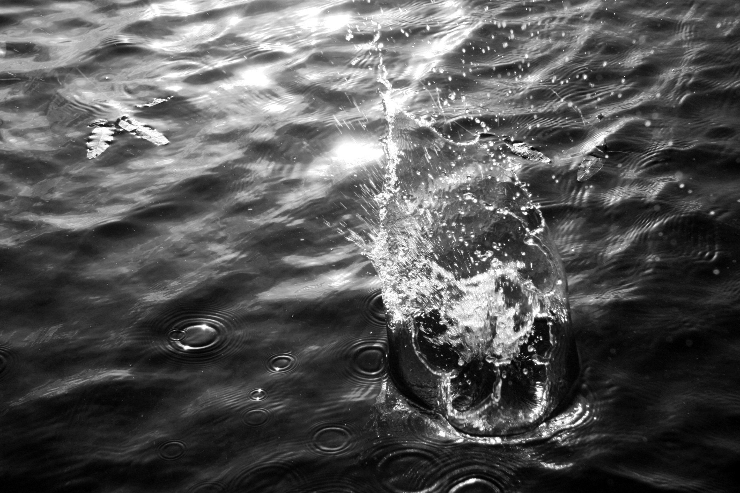 Фото Природы Забайкалья. Студия Максима Белослюдцева