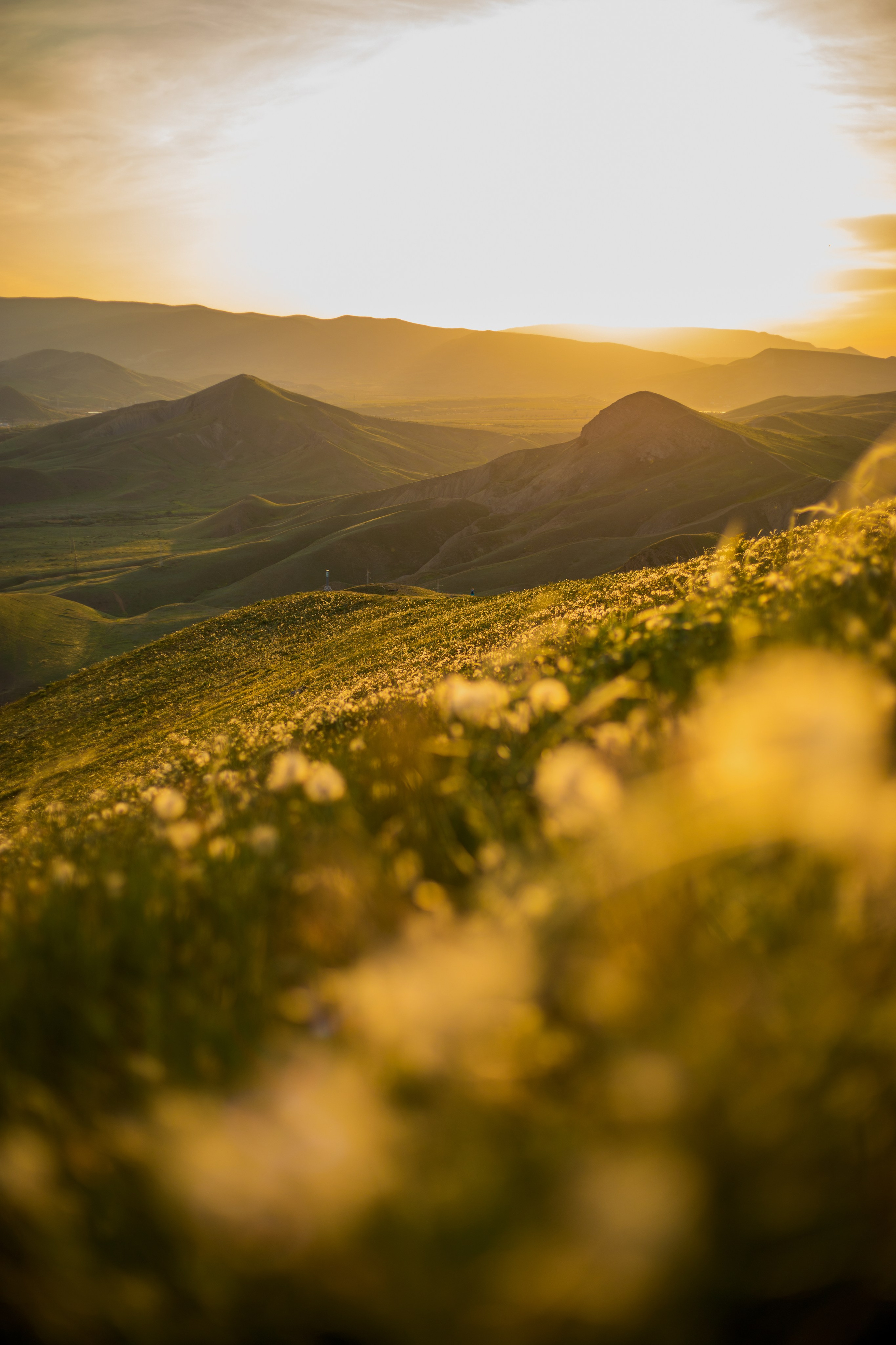 ОРДЖОНИКИДЗЕ. Фотограф Севастополь/Крым Светлана Евтушенко