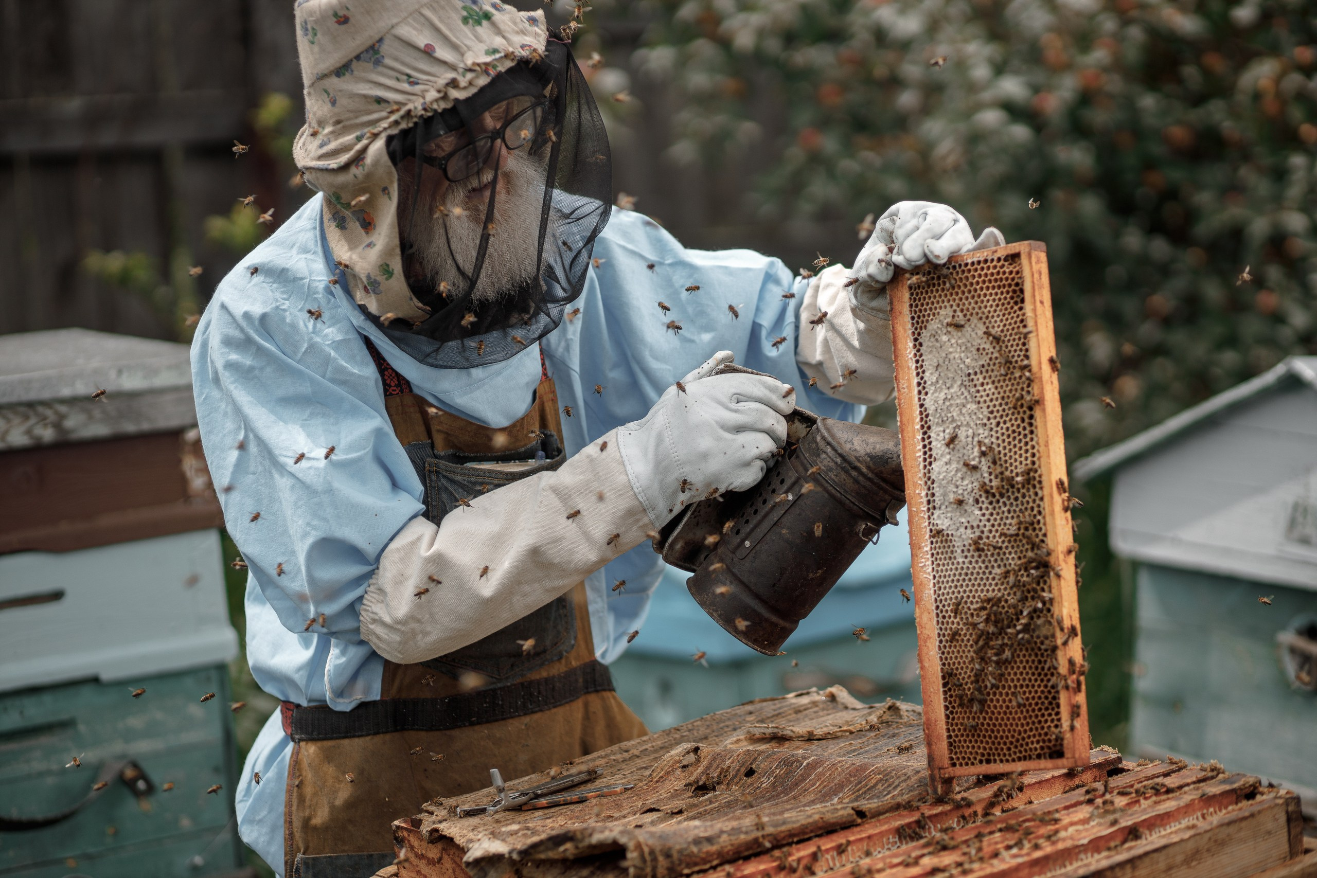 Верность делу. Фотограф в Красноярске Нерозя Александр. Пейзаж, природа, портрет