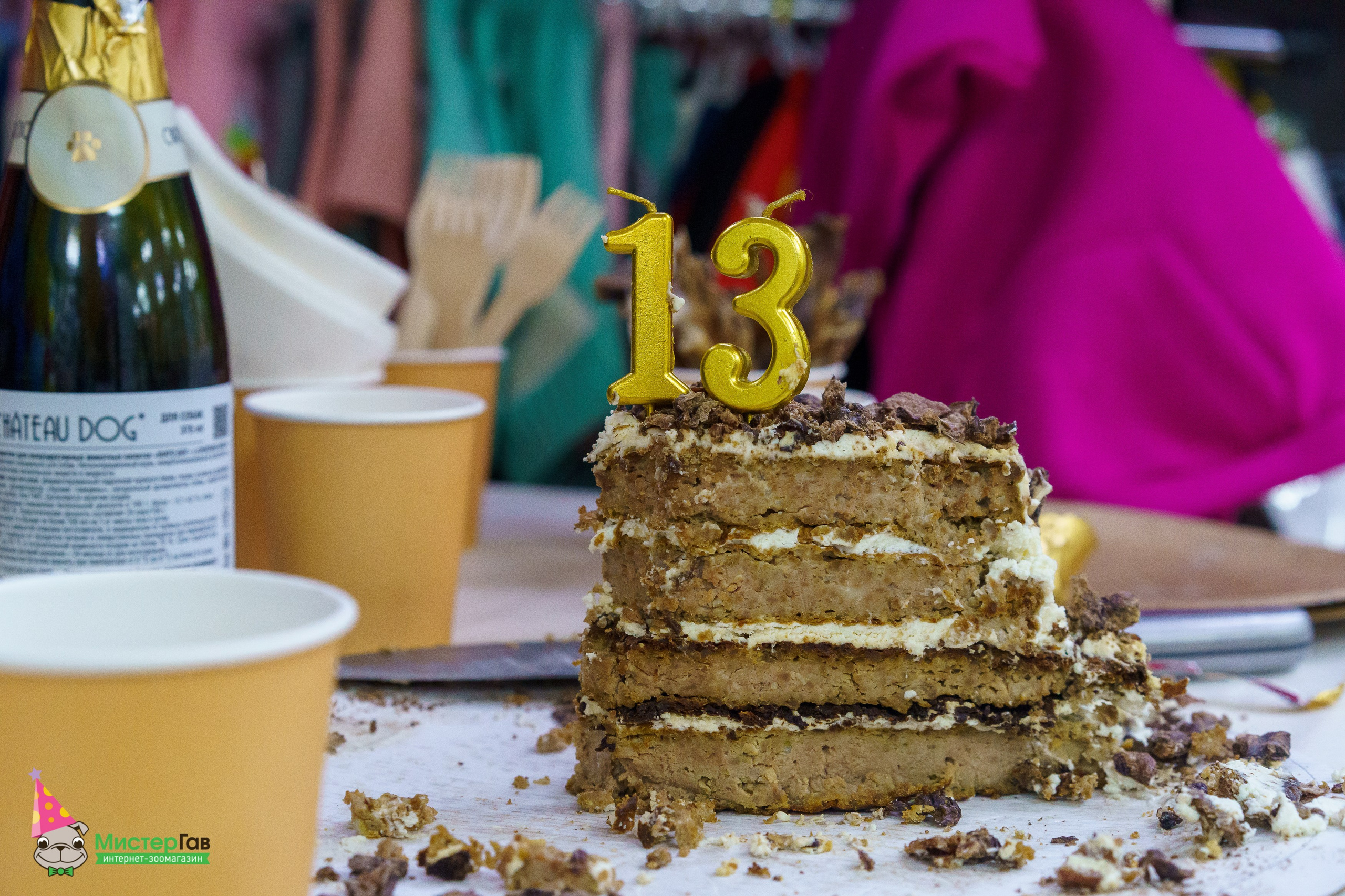 Мистер Гав -13 лет!. Фотограф Челябинск · Ольга Серебрякова