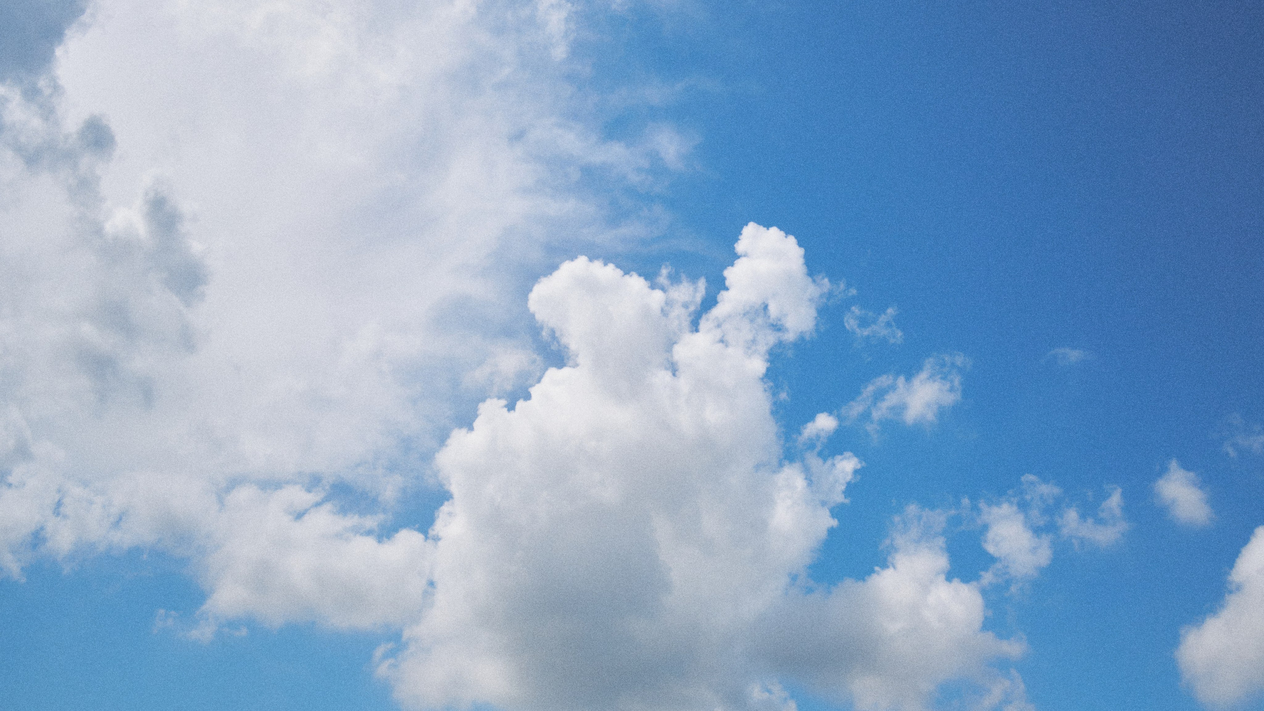 Наблюдения. Семейный фотограф в Новосибирске Артём Кузнецов