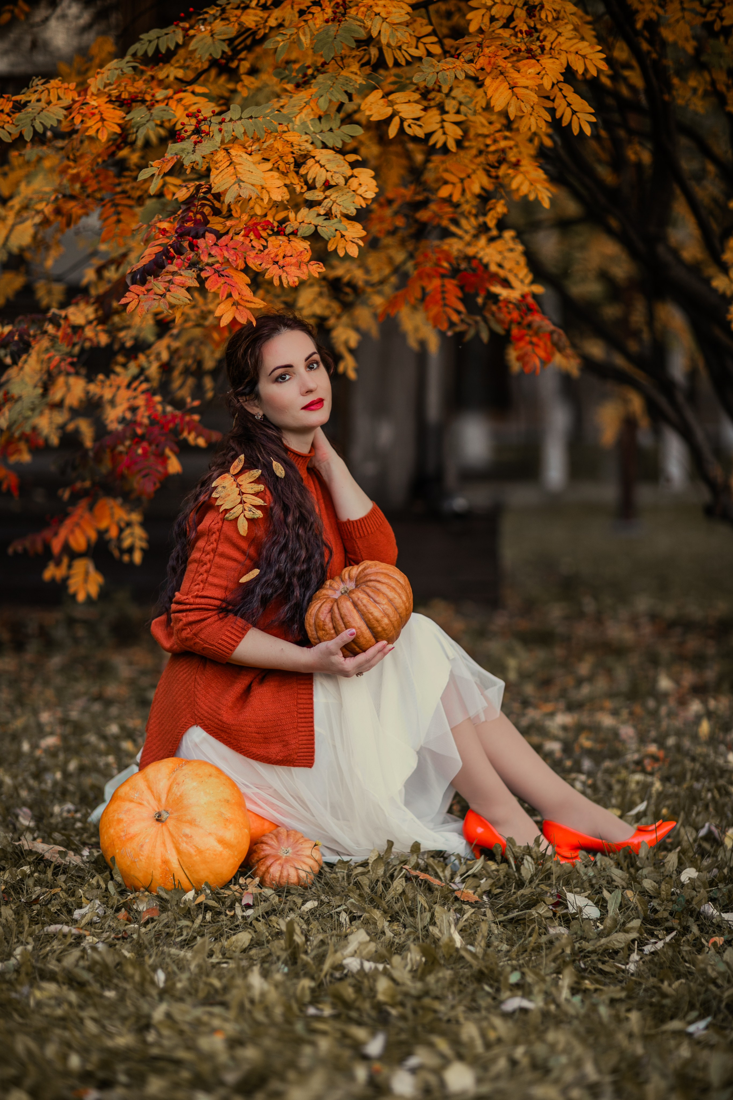 Очарование октября. Фотограф Елена Вишневская (Ушакова) Нефтеюганск, Сургут, Тюмень