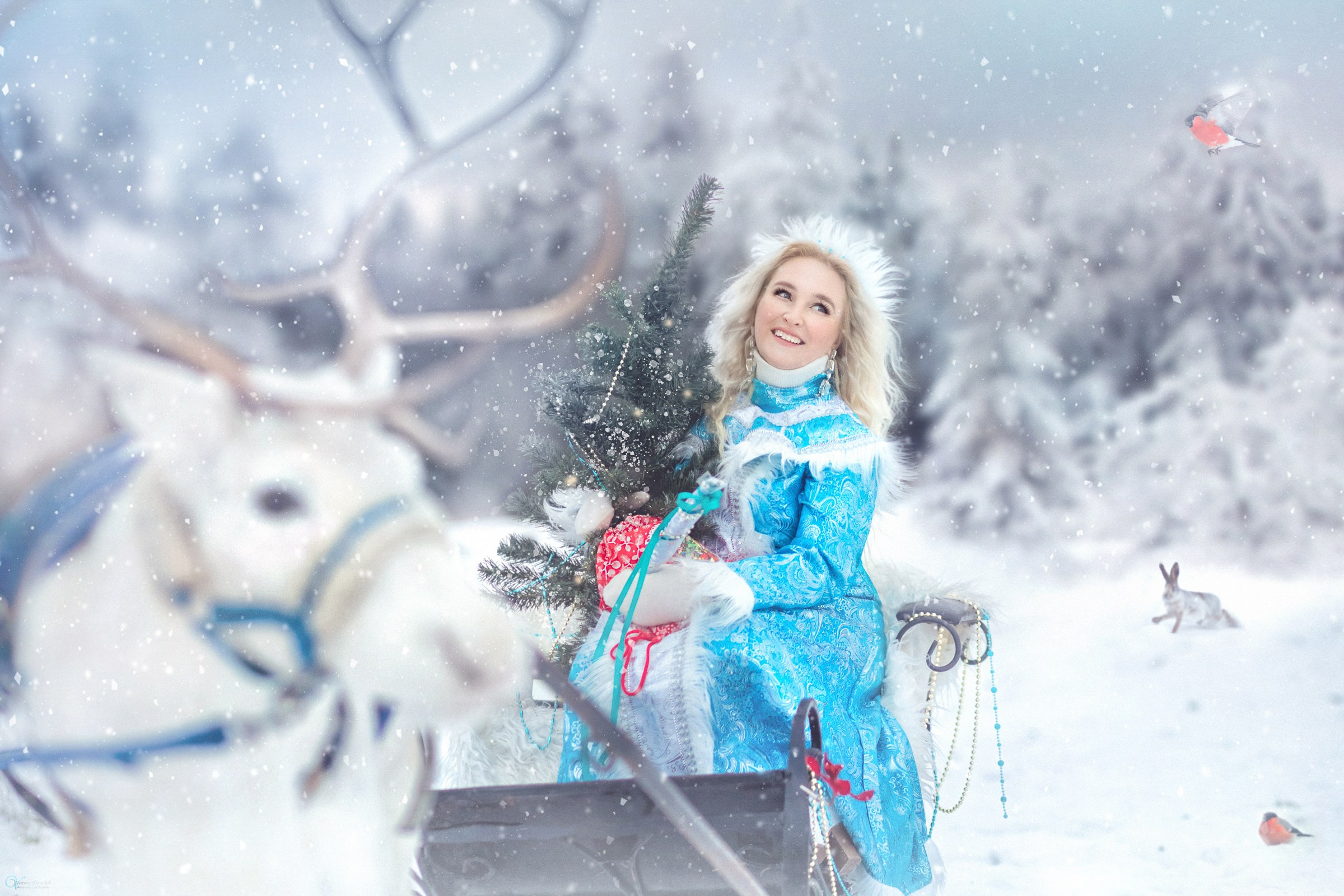 Фотосессии с лошадьми зимой. Фотограф женский и мужской портрет Санкт-Петербург