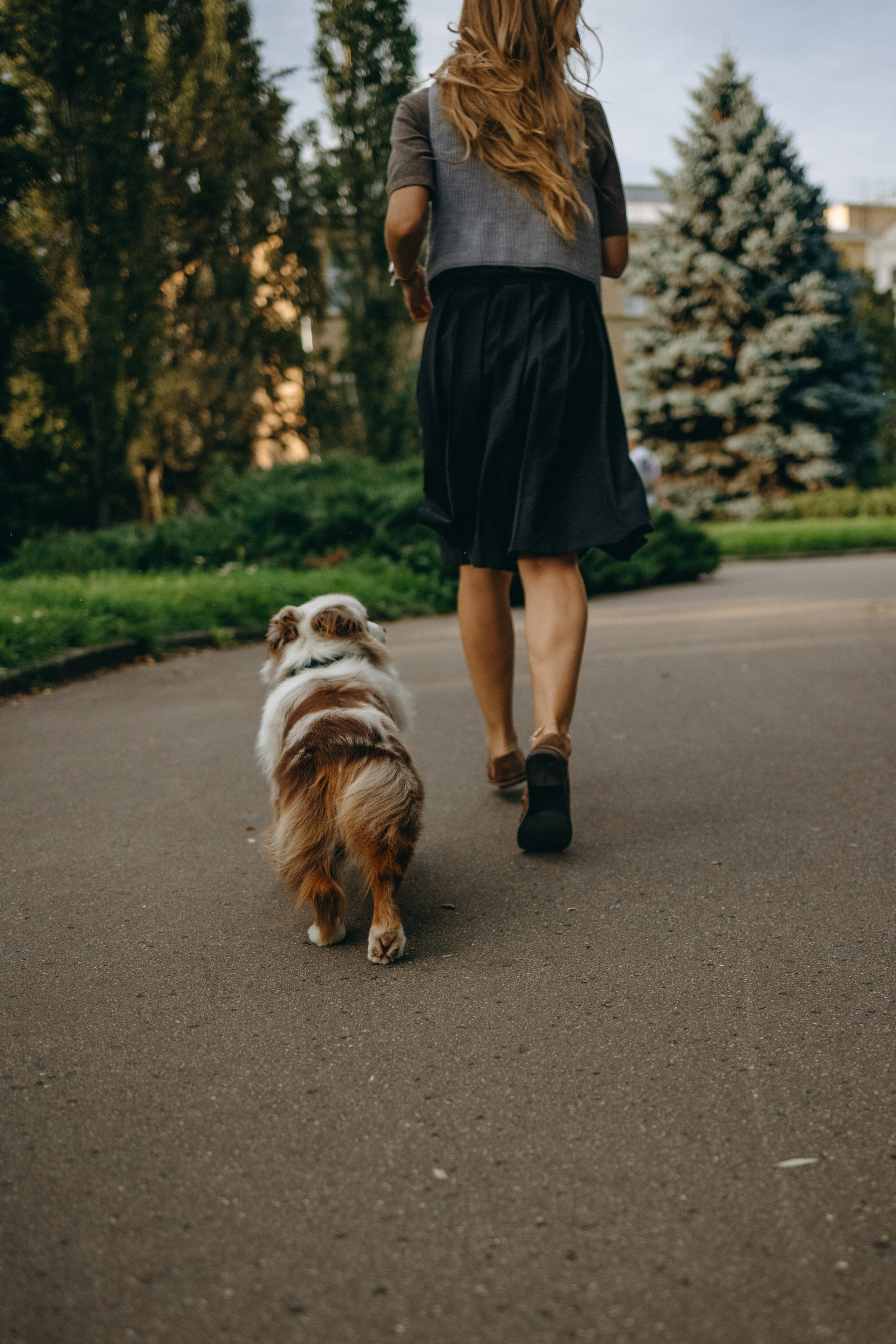 Маша и Эклер. Фотограф — Анималист | Санкт-Петербург