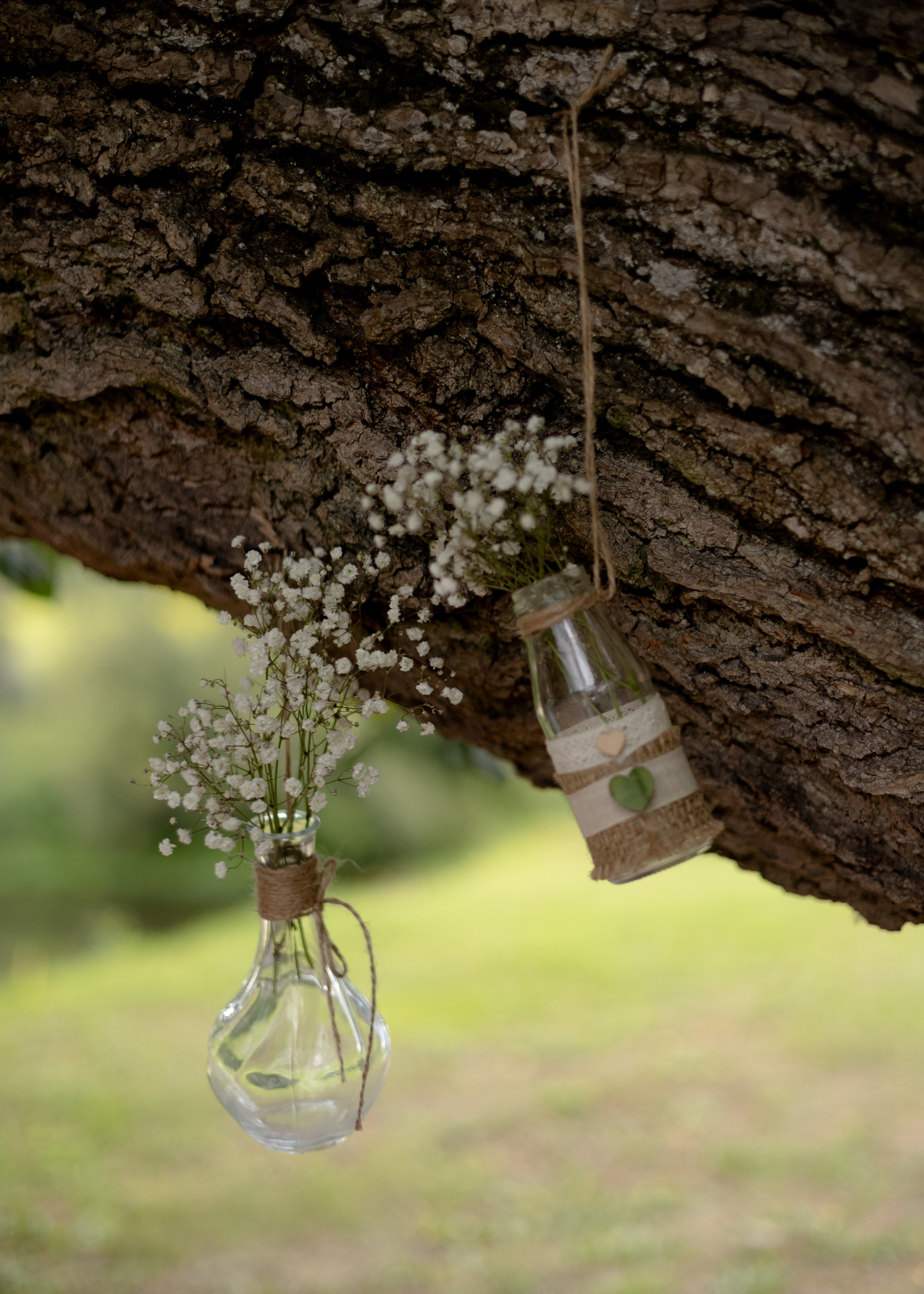 Денис & Дарья | в лесу. Фотограф в Калининграде Сокирко Светлана