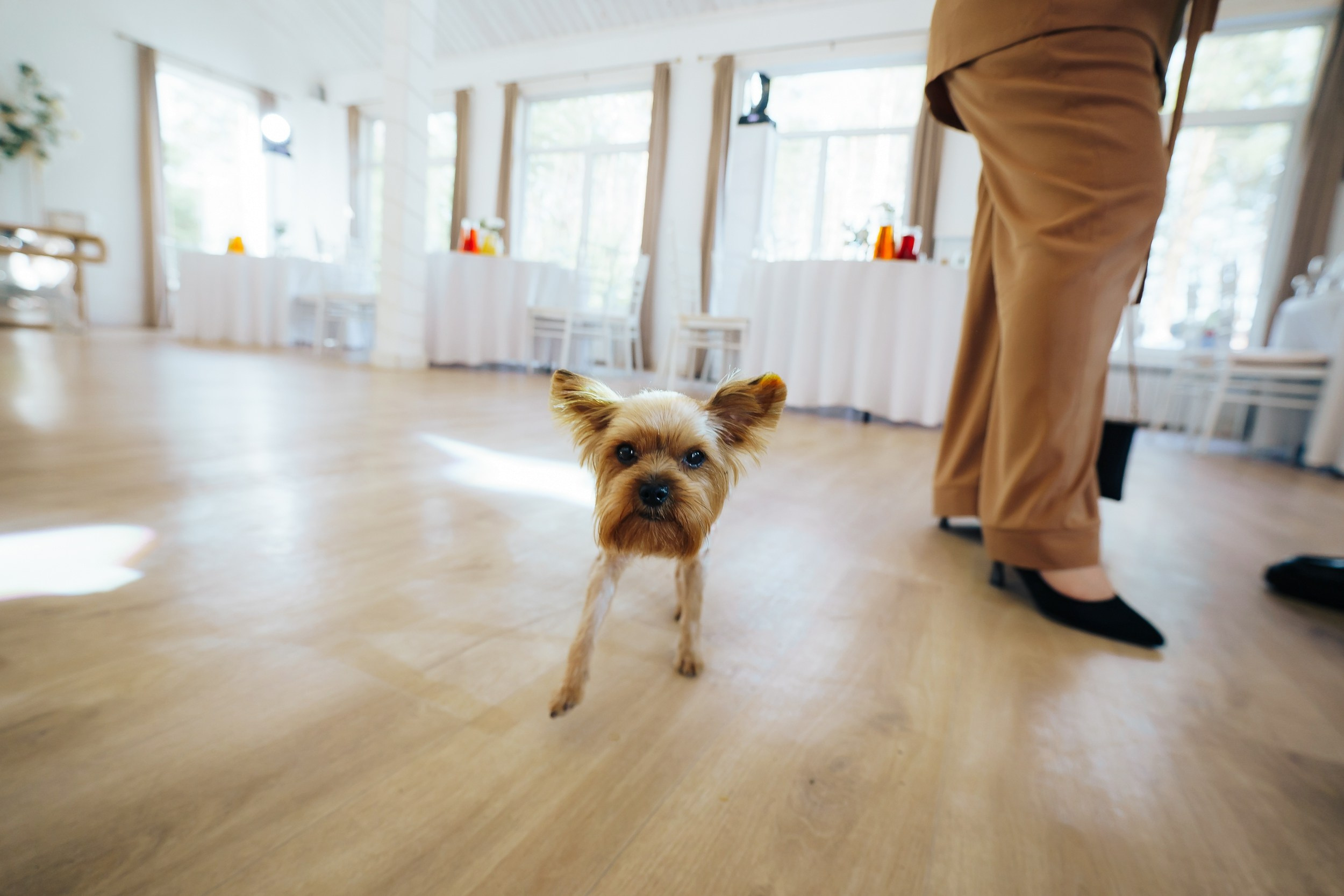 Свадьба Масловых. Ваш свадебный и семейный фотограф