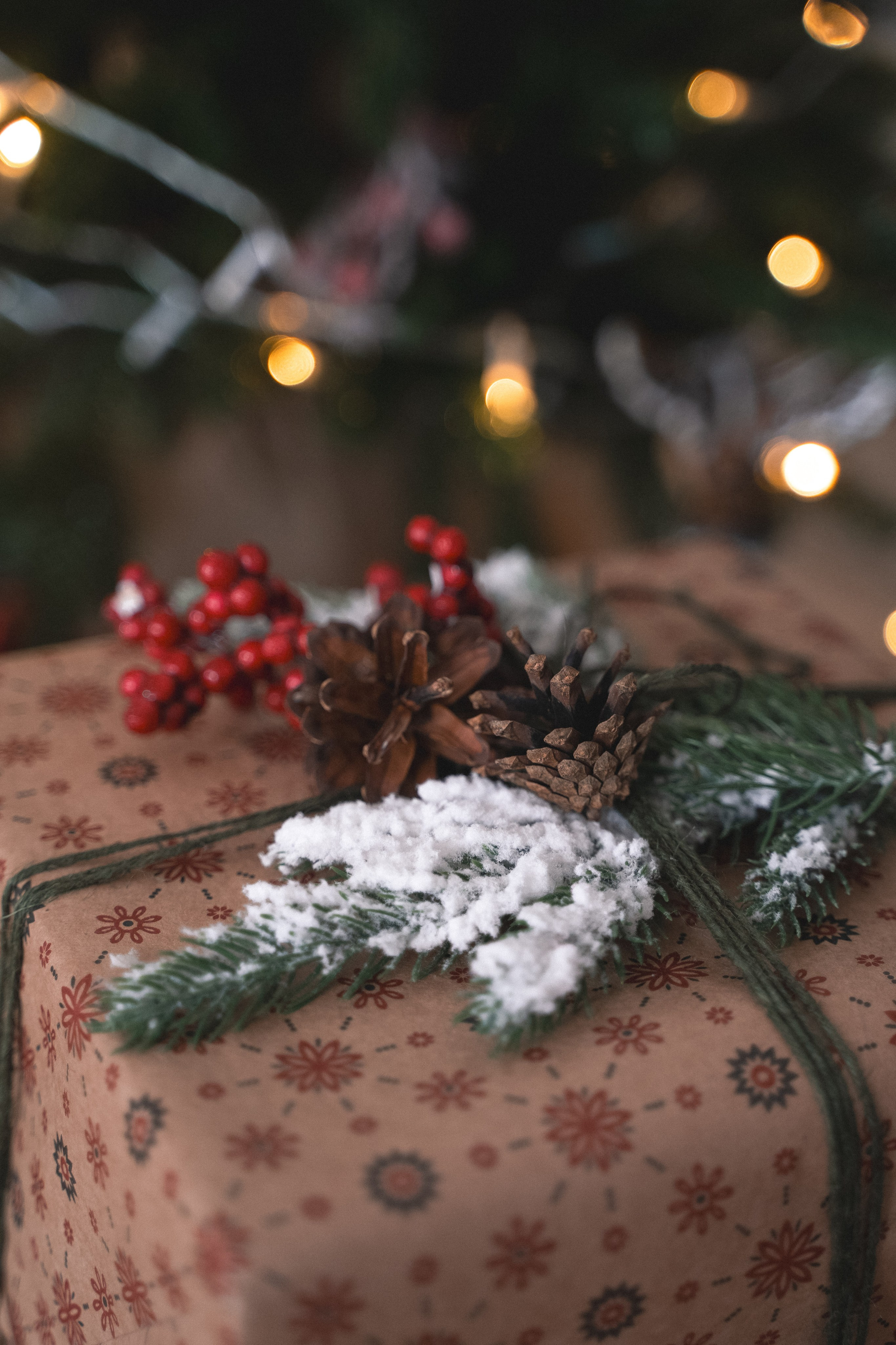 Зал Подиум. Фотограф г. Хабаровск. Семейные и индивидуальные съёмки