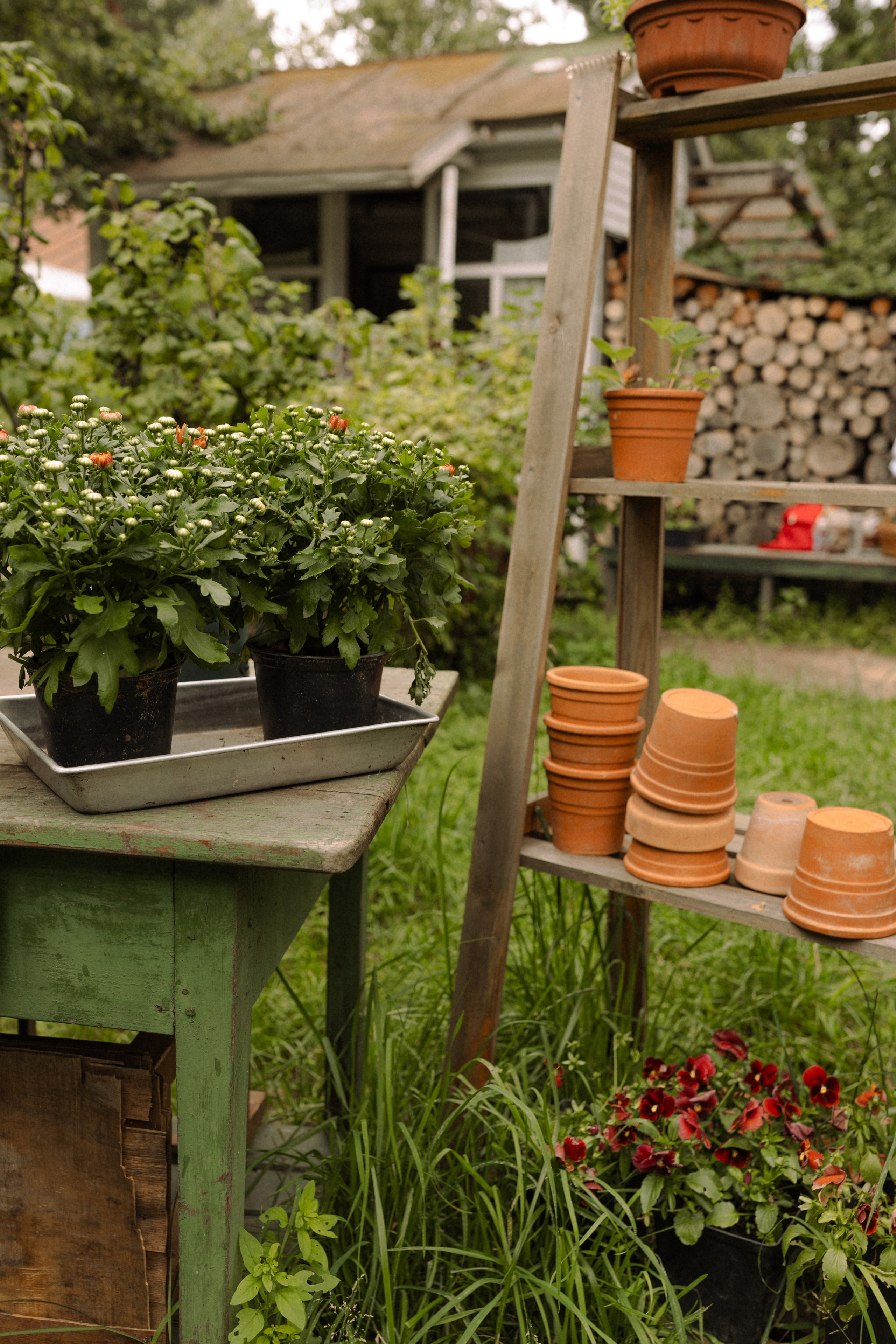 Когда семья вместе. Семейный фотограф Москва детский фотограф Одинцово фотосессия беременности Рогачева Екатерина