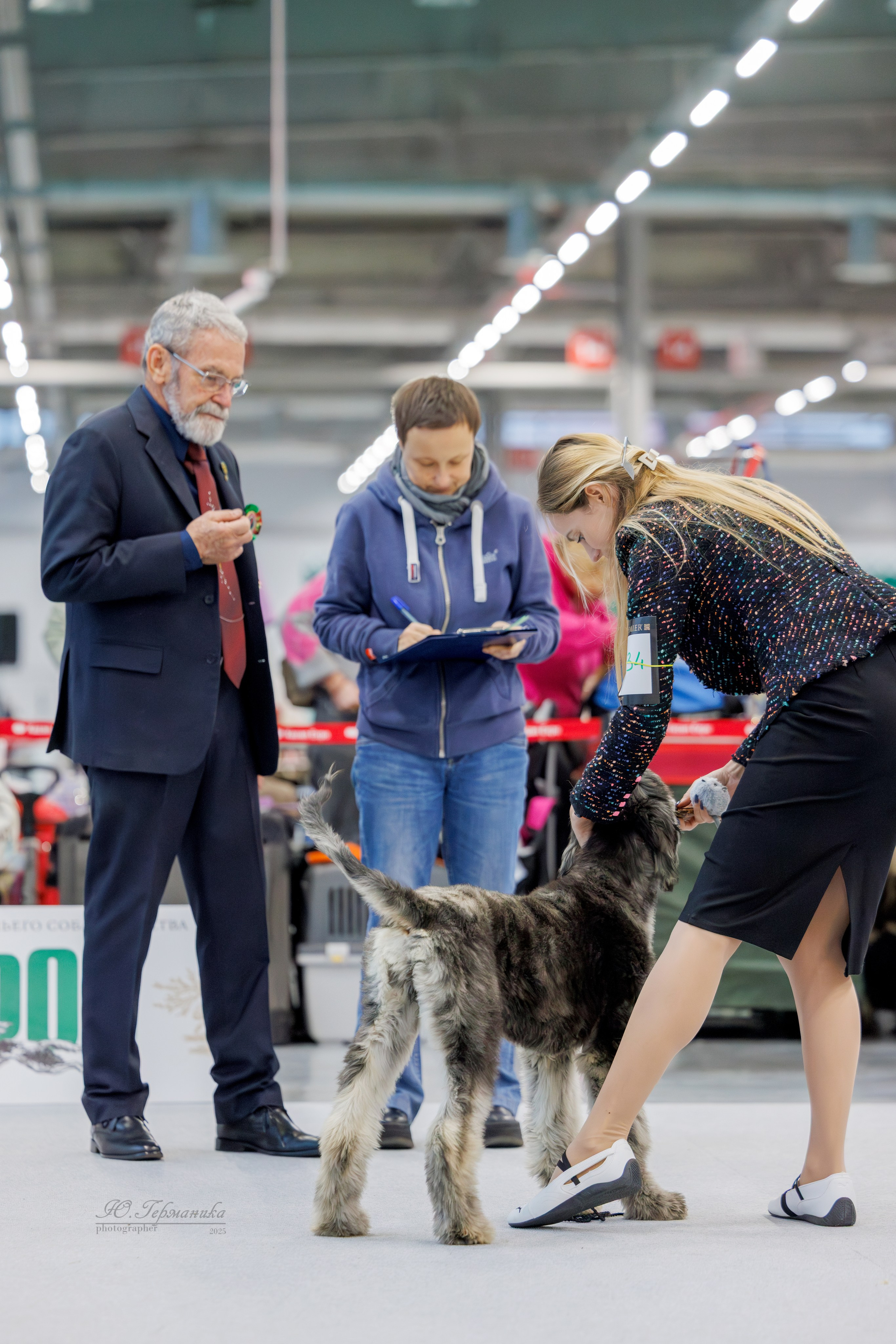 Зилант Казань 29-30.11.2025. Фотограф-анималист Юлия Германика