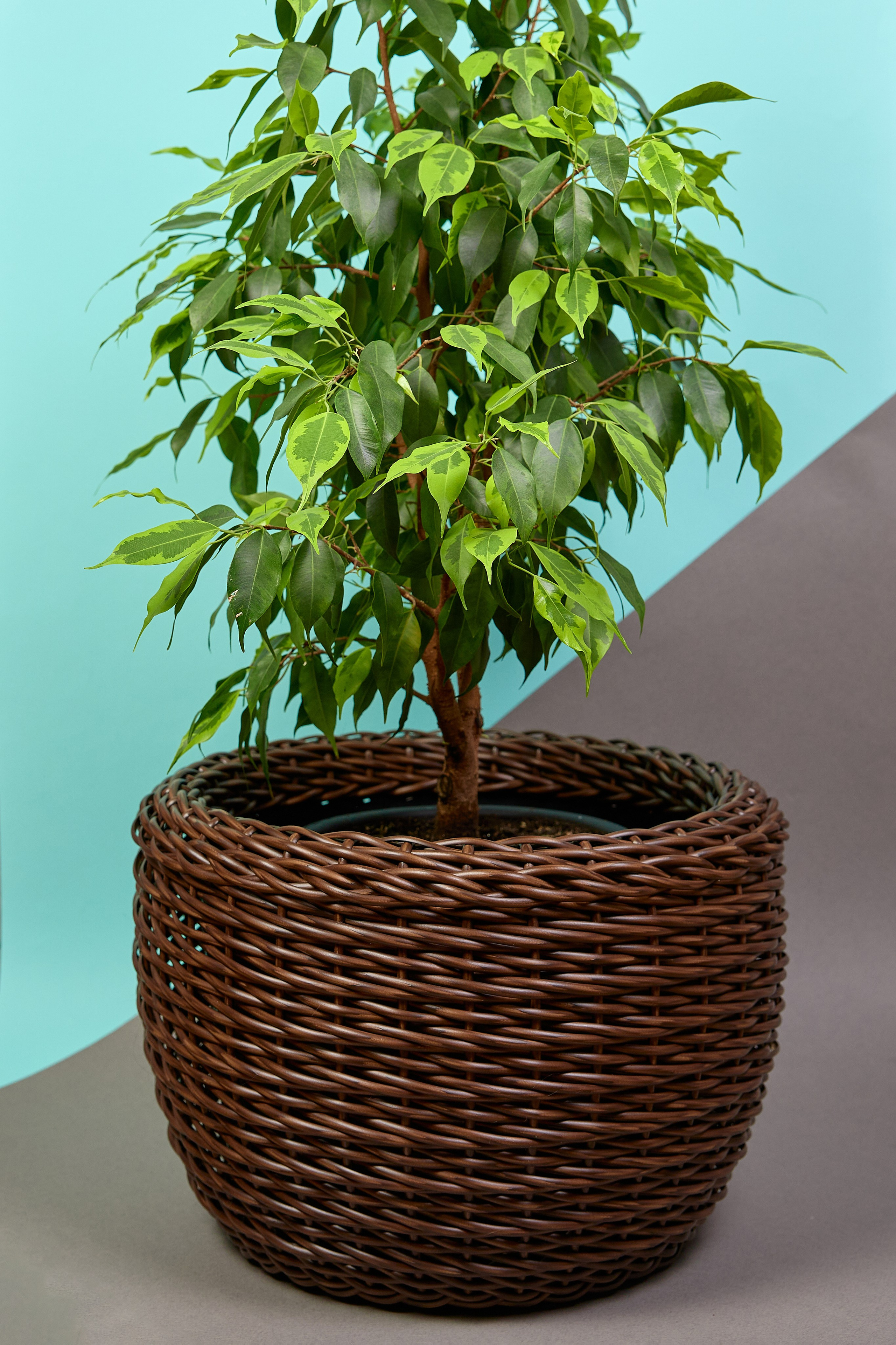 Фотосъёмка для маркетплейсов. Предметный и репортажный фотограф Алексей Кротов