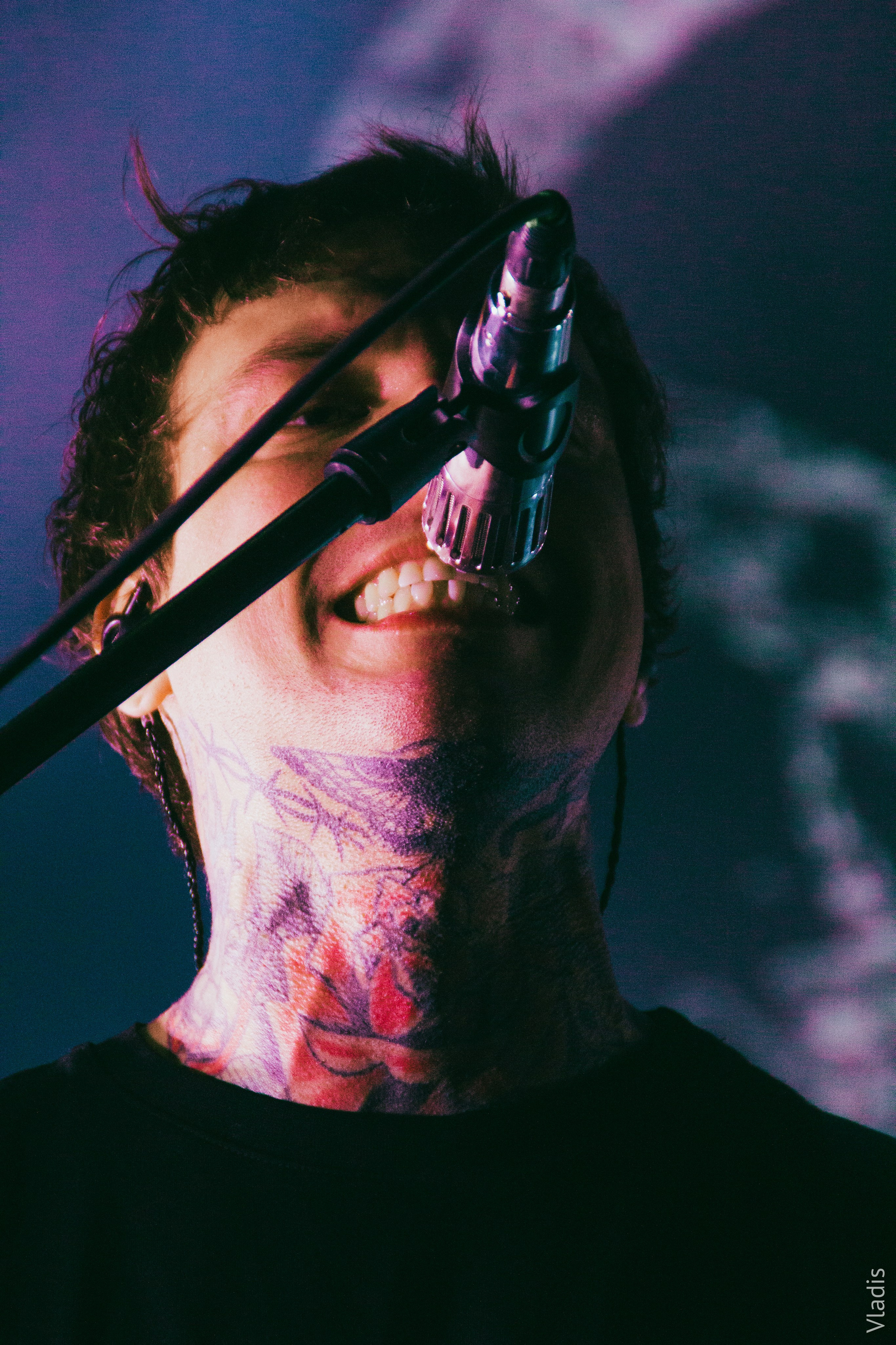 AMATORY BASE NEW YEAR FEST 2026 | Петербург. VLADIS PISKUNOV | Концертные Фото |Репортажи