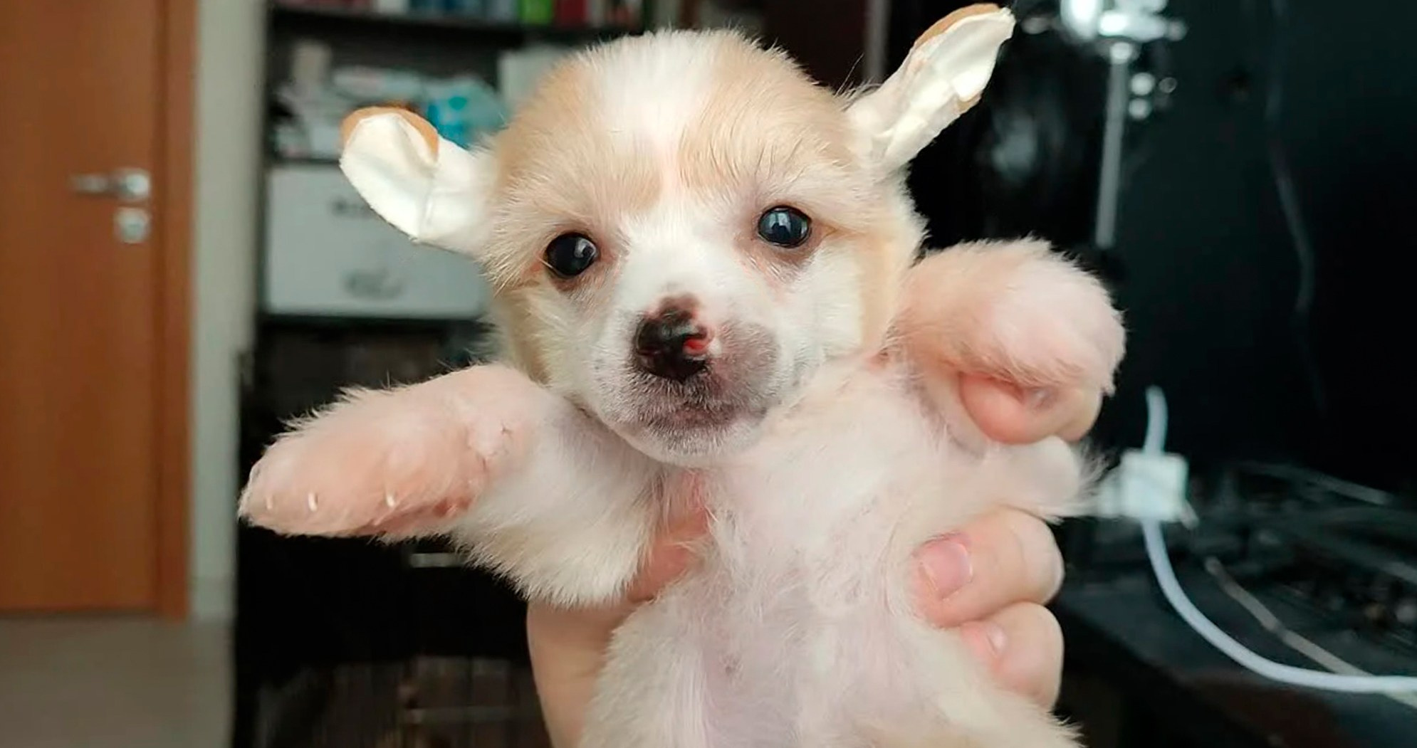 Ermak, 1 month