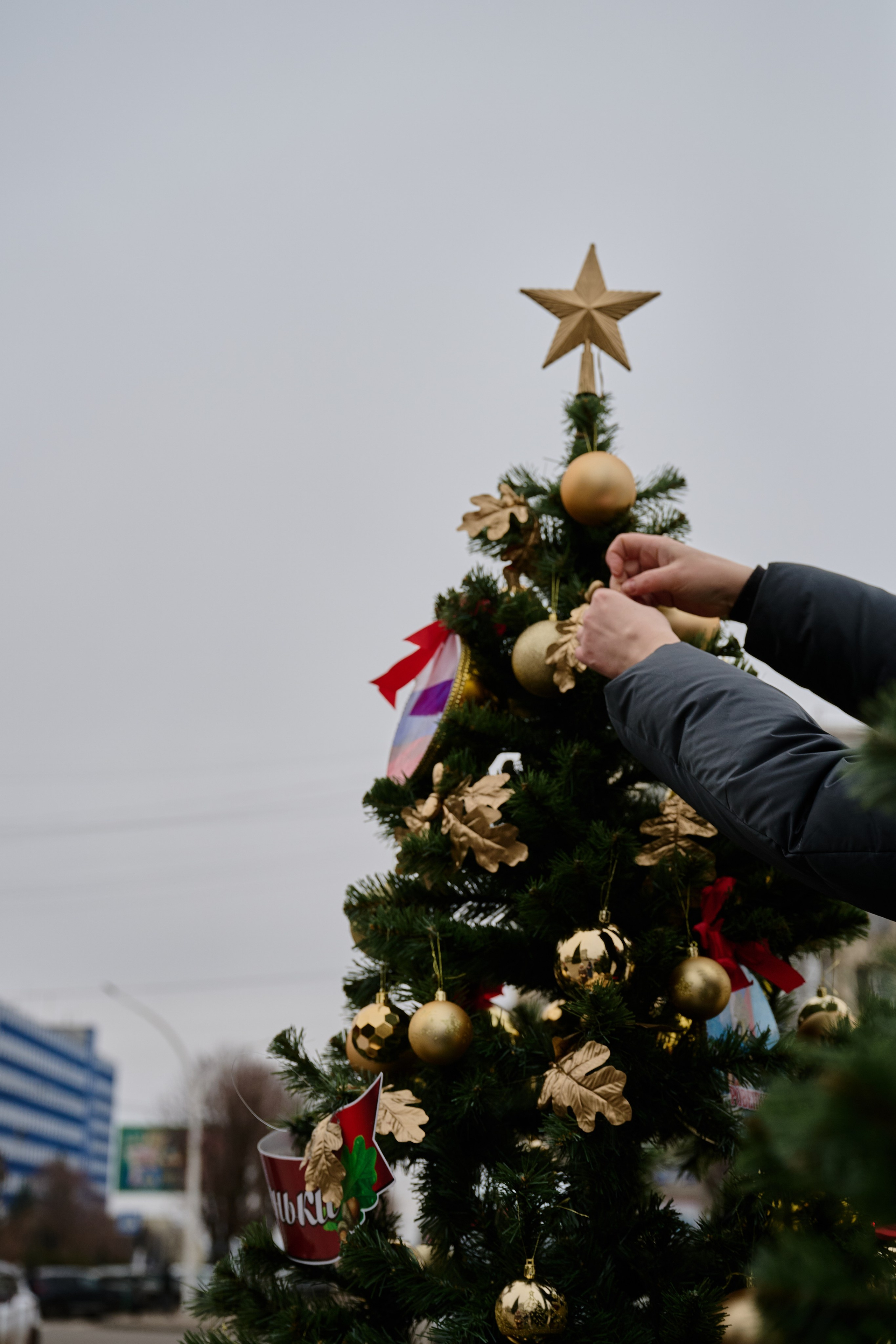 Луганск. Ноябрь 2024. Фотограф Роман Адлер