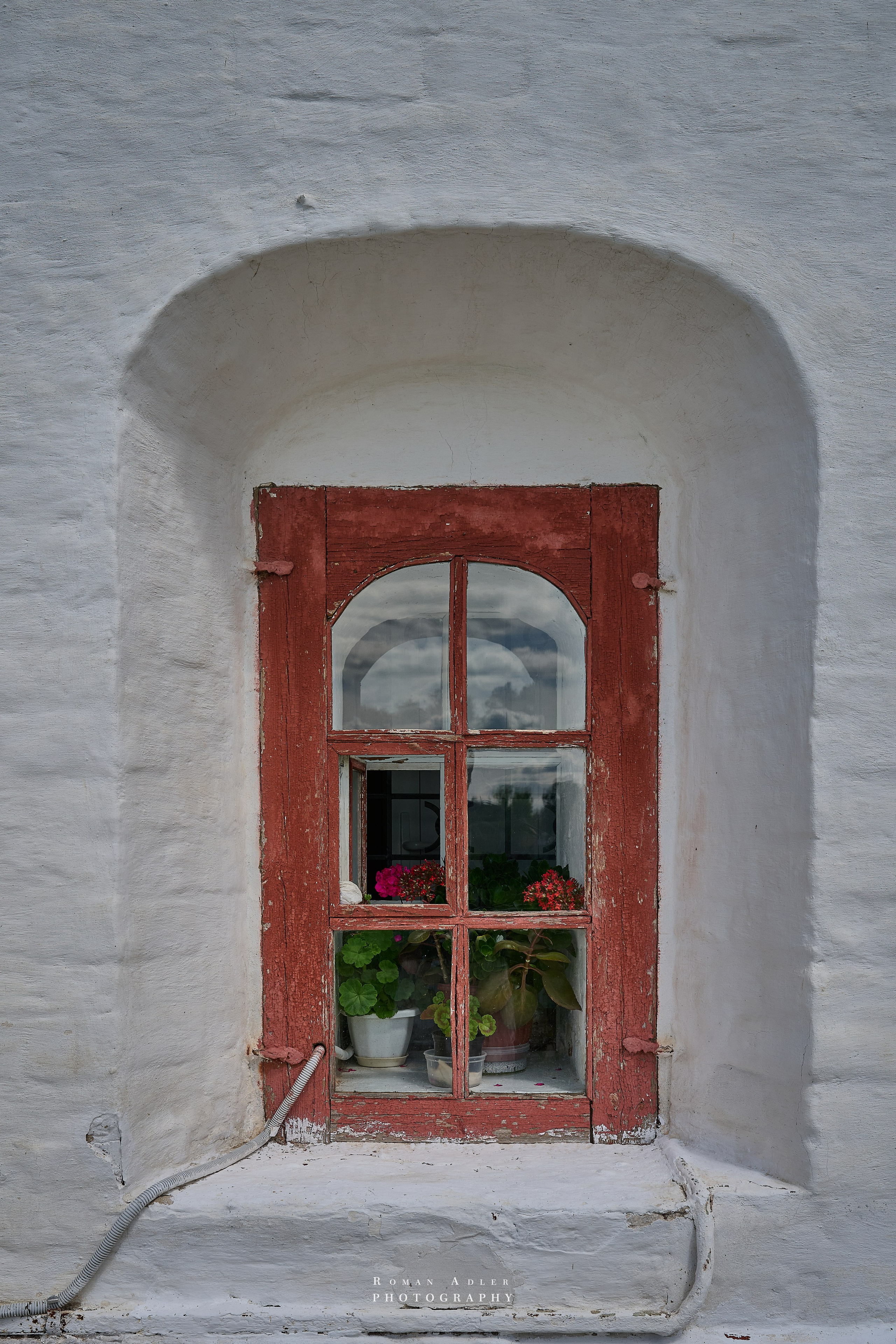 Суздаль. Июнь 2025. Фотограф Роман Адлер