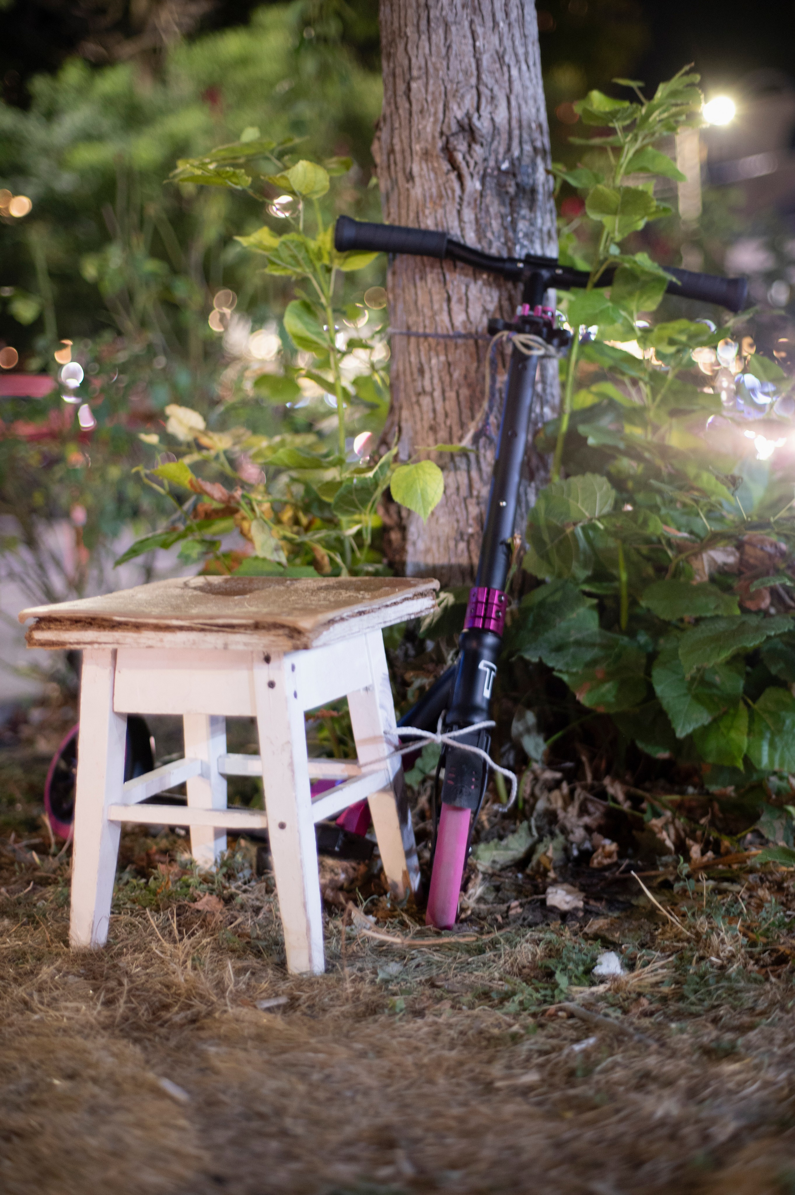 Геленджик. Август 2023. Фотограф Роман Адлер