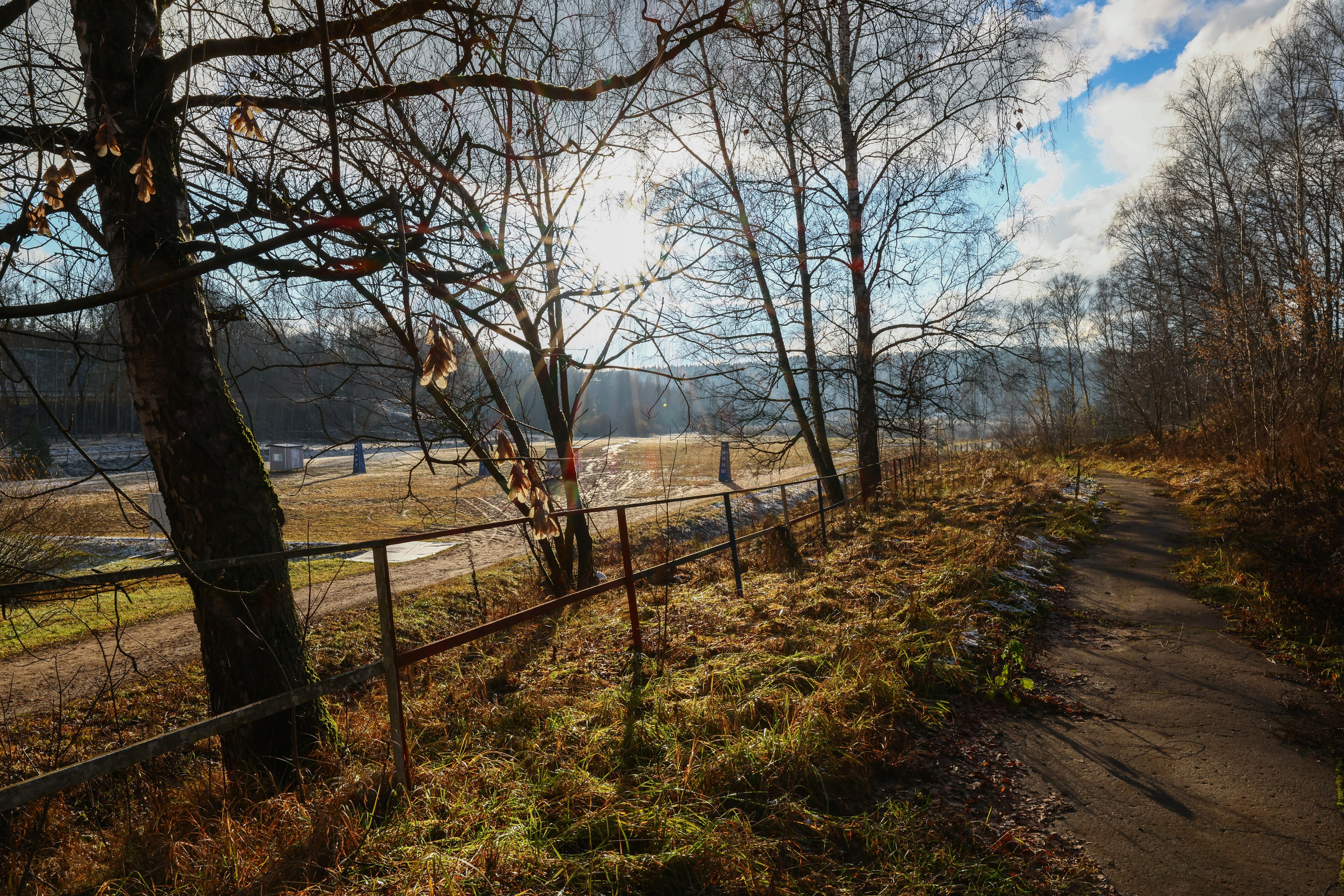 Два лепестка Химкинского марафона у дома, 23.11.25. Фотограф Сергей Ловкий