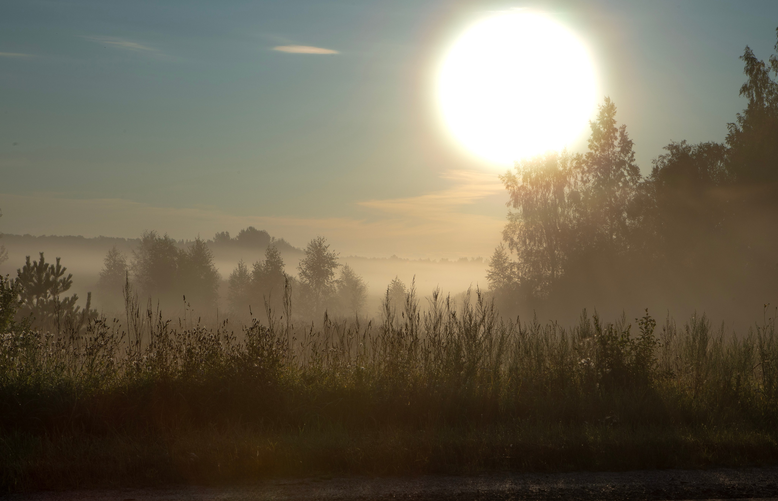 Село Тимирязево, Лухский район. Фотограф Сергей Ловкий