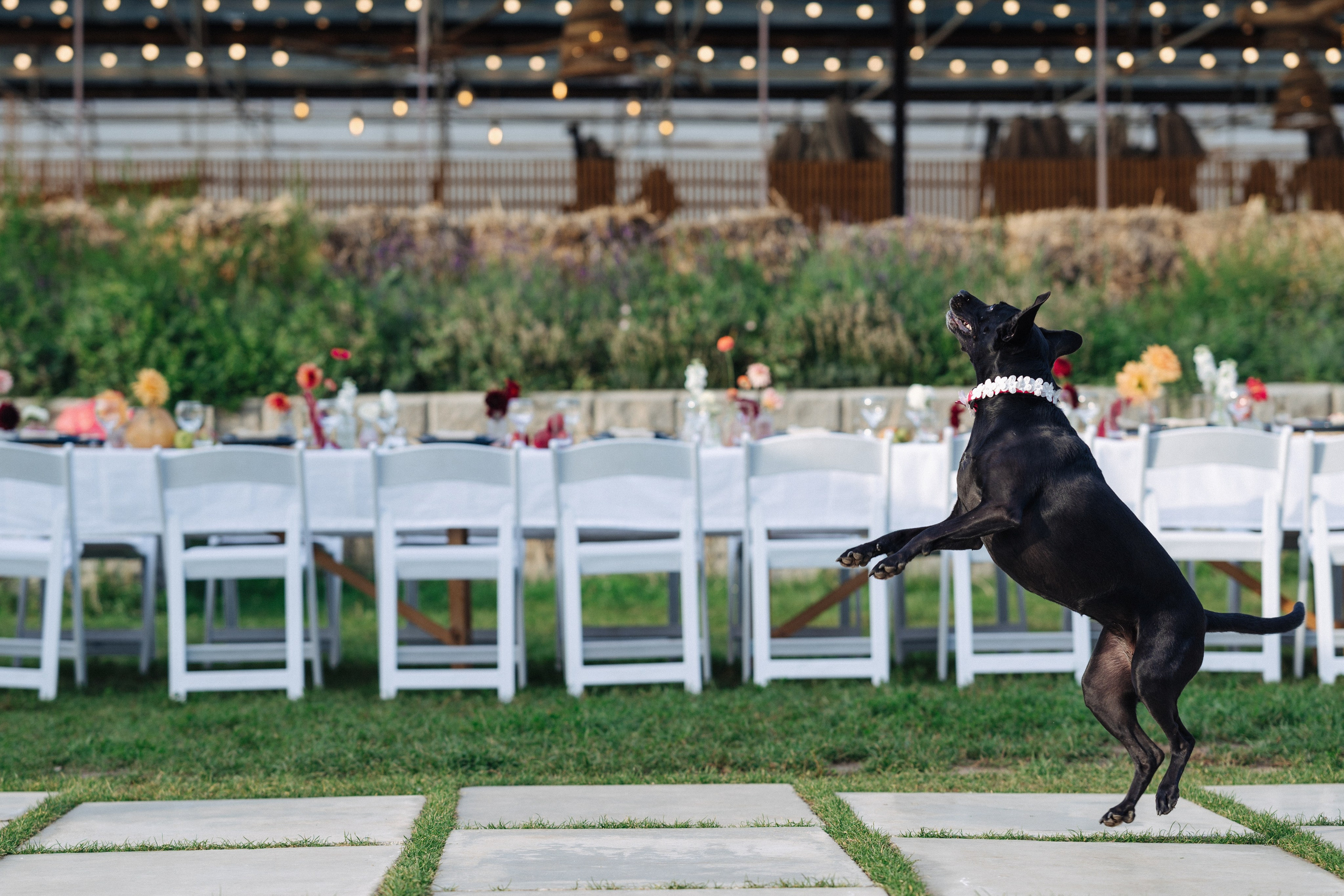 ЛЮСИ И ЭДУАРДО. Фотограф в Алматы — Дарья Фёдорова