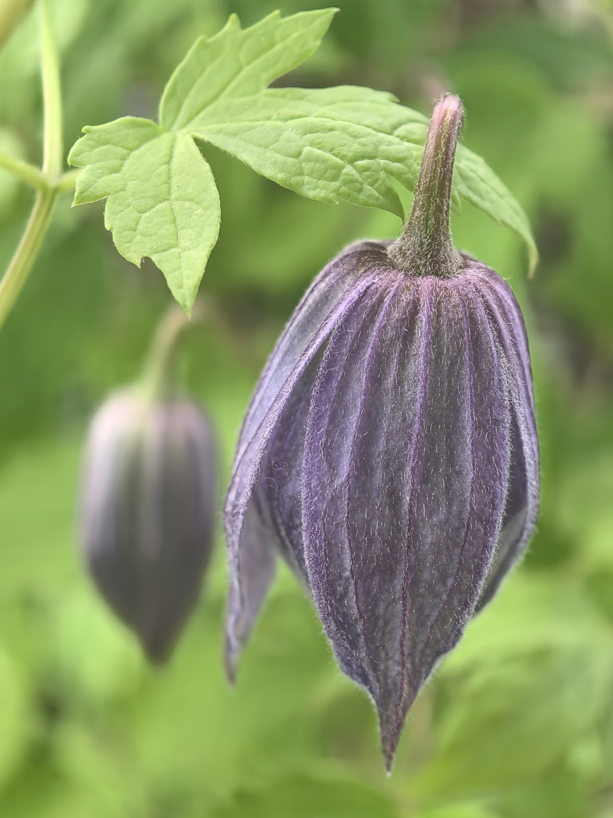 ПочтиМАКРО. Школьные выпускные альбомы в Москве Марина Николаева