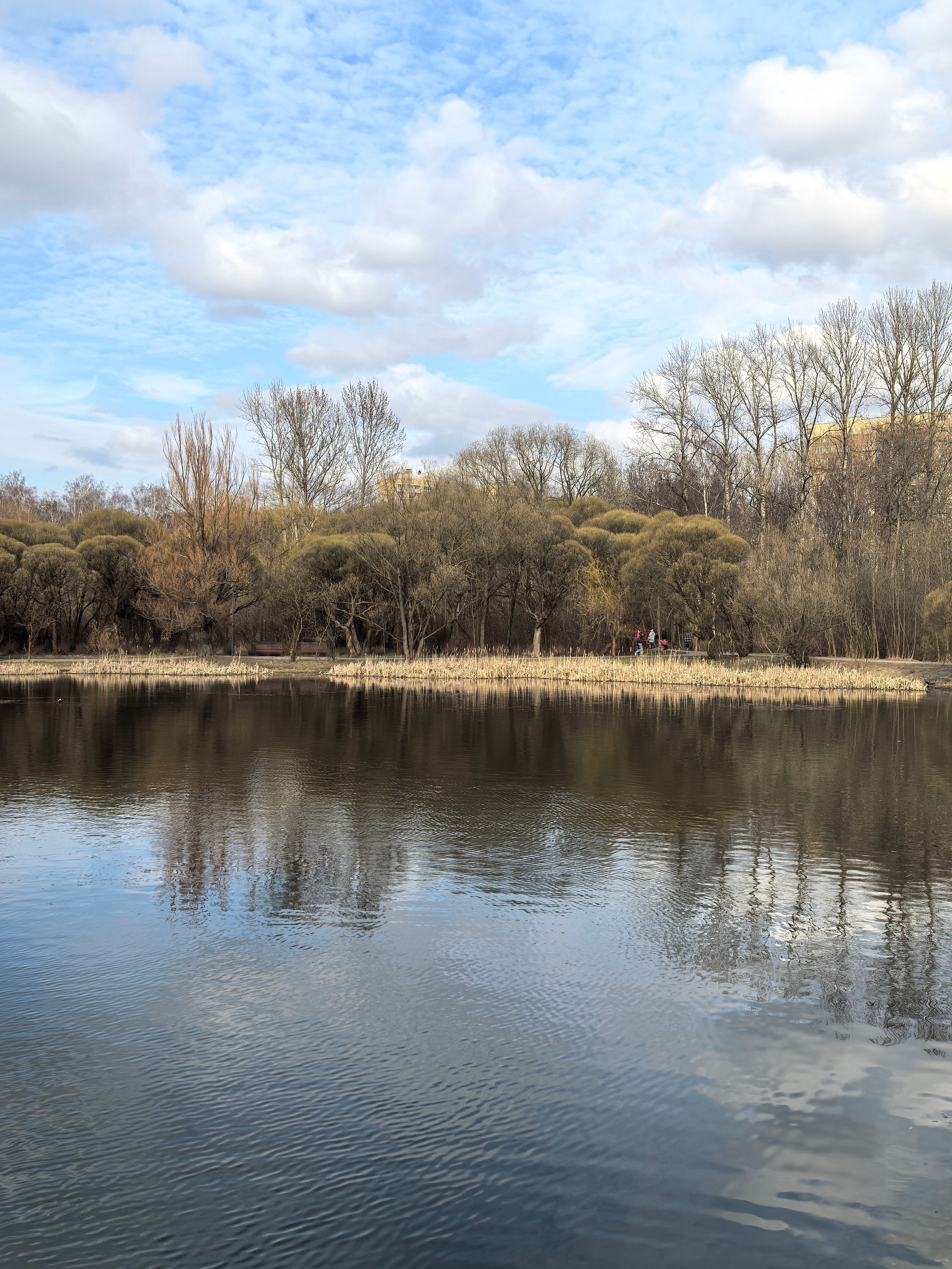 Покровско-Стрешнево. Школьные выпускные альбомы в Москве Марина Николаева
