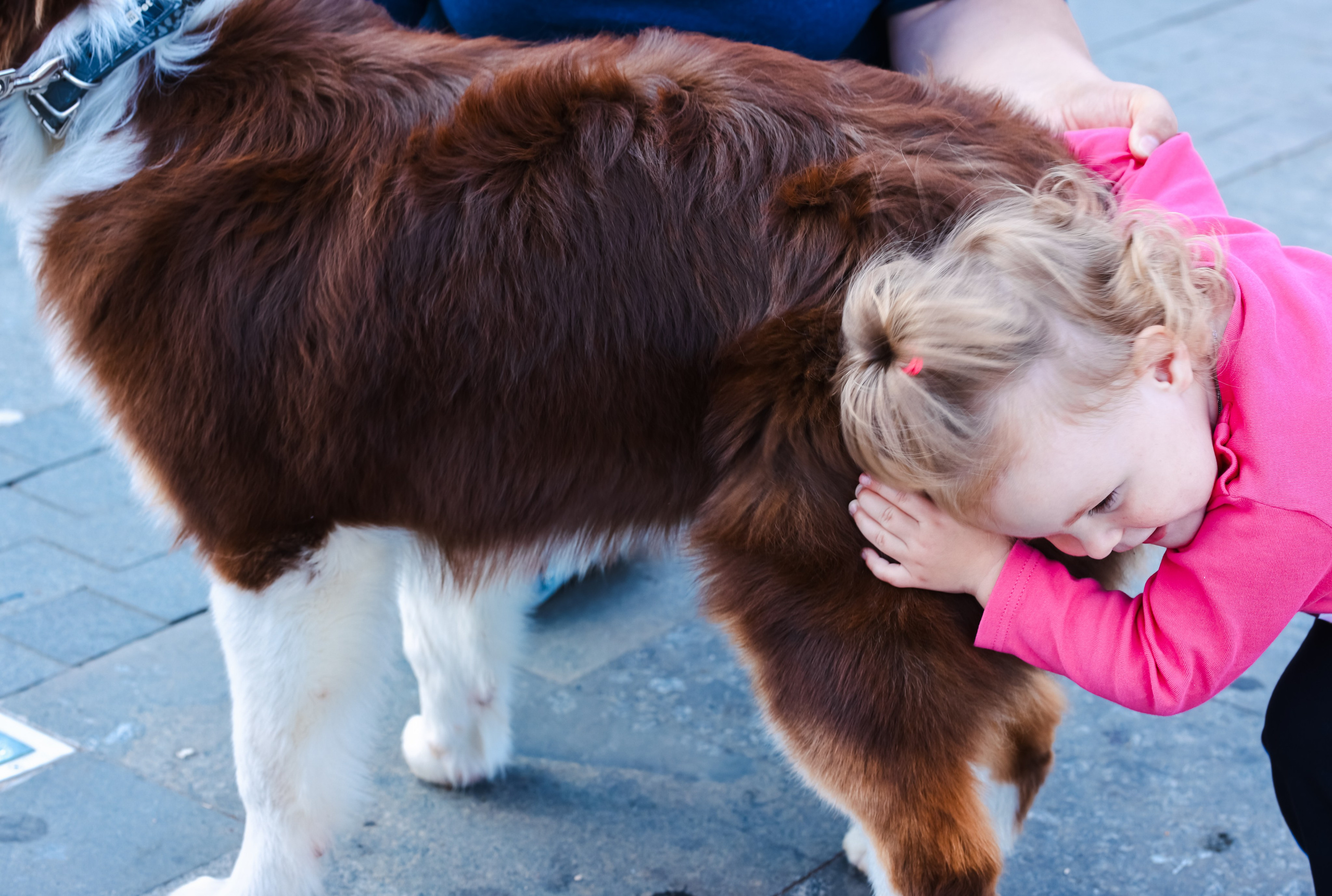 Прогулка по Истре. Фотограф репортажей и стритфотосессий в Москве Людмила Смирнова