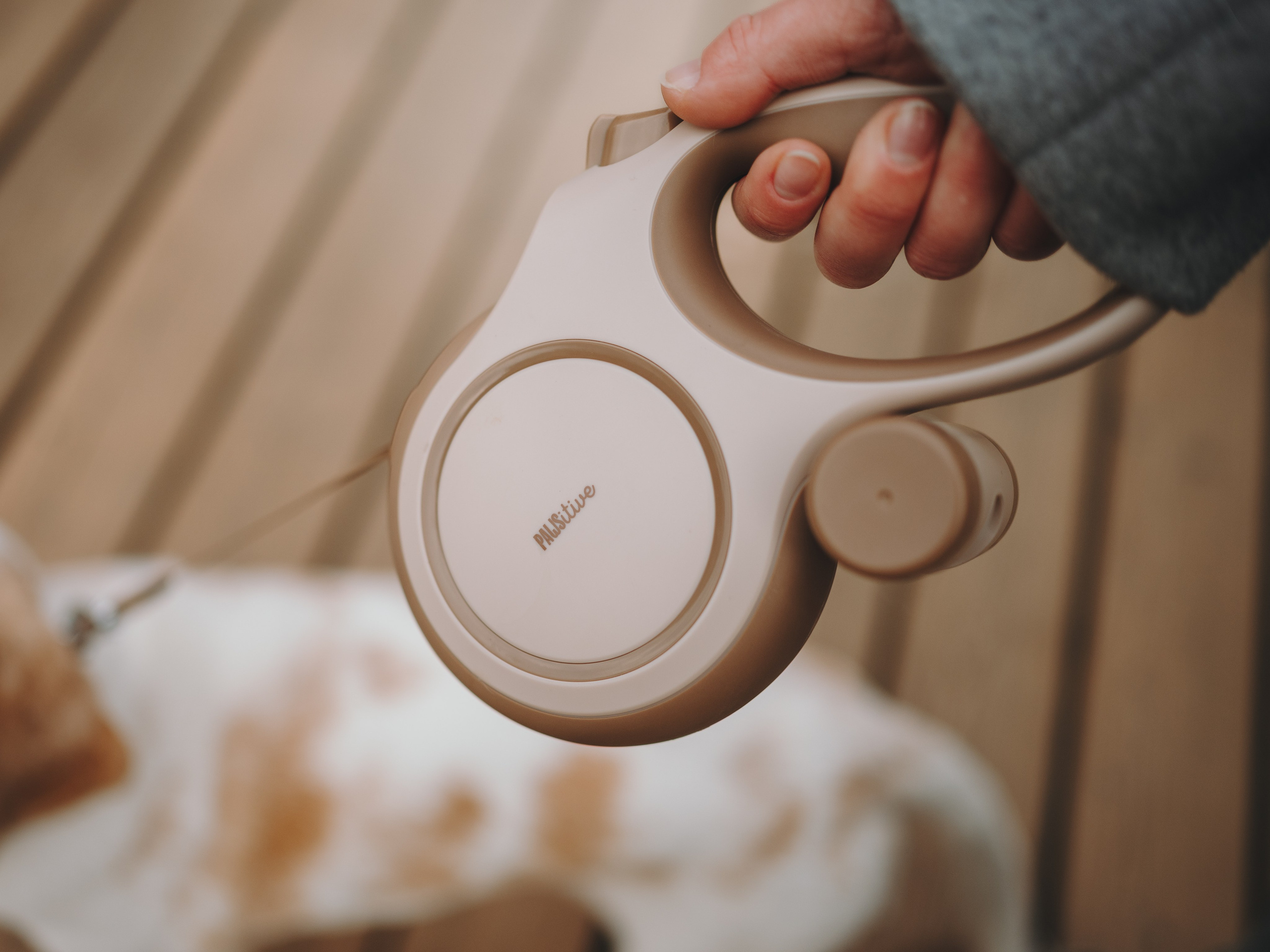 Pawsitive. Семейный фотограф анималист Ананьева Мария — Москва