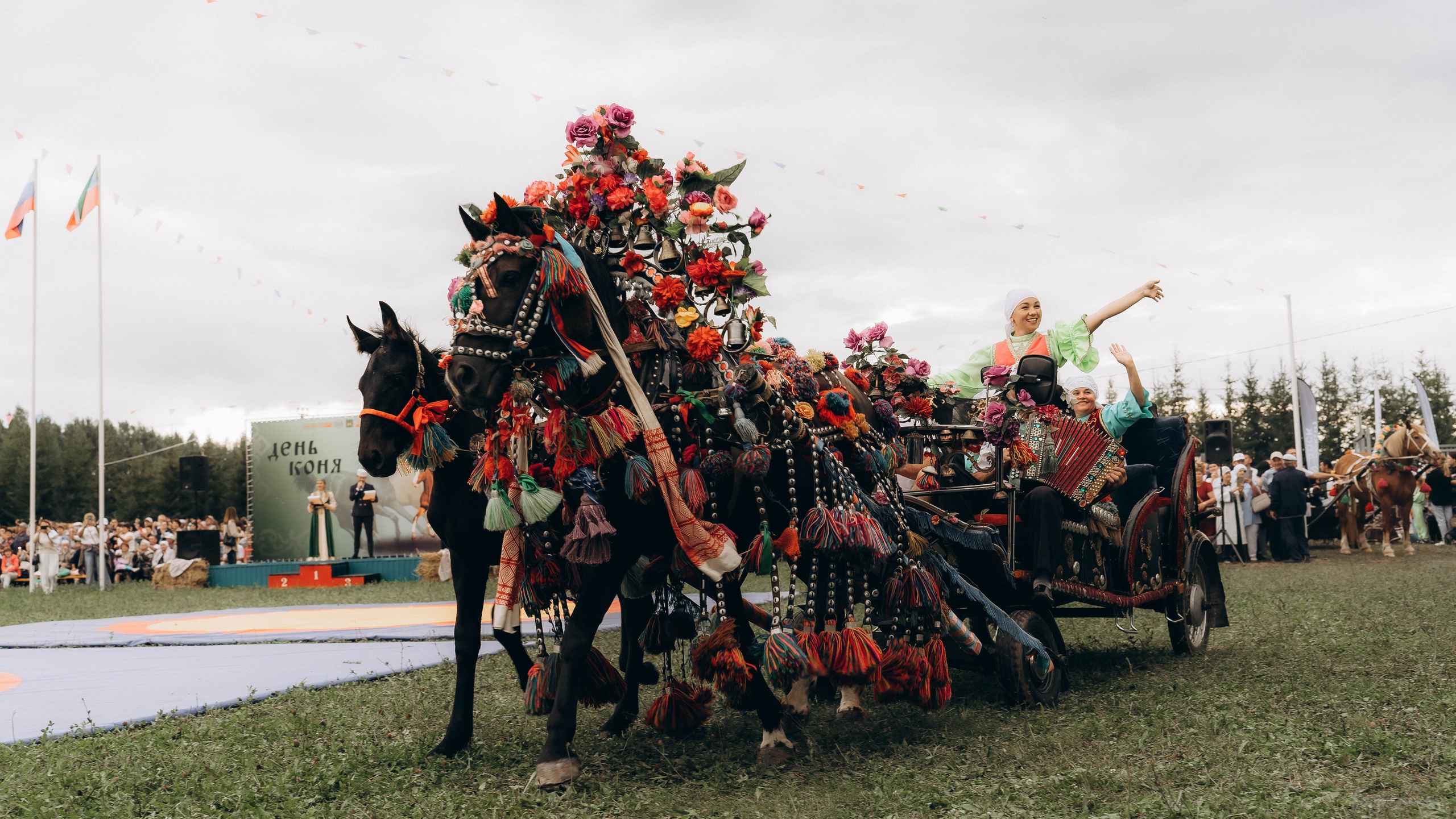 День Коня. Алиса Никитцова | Фотограф в Казани
