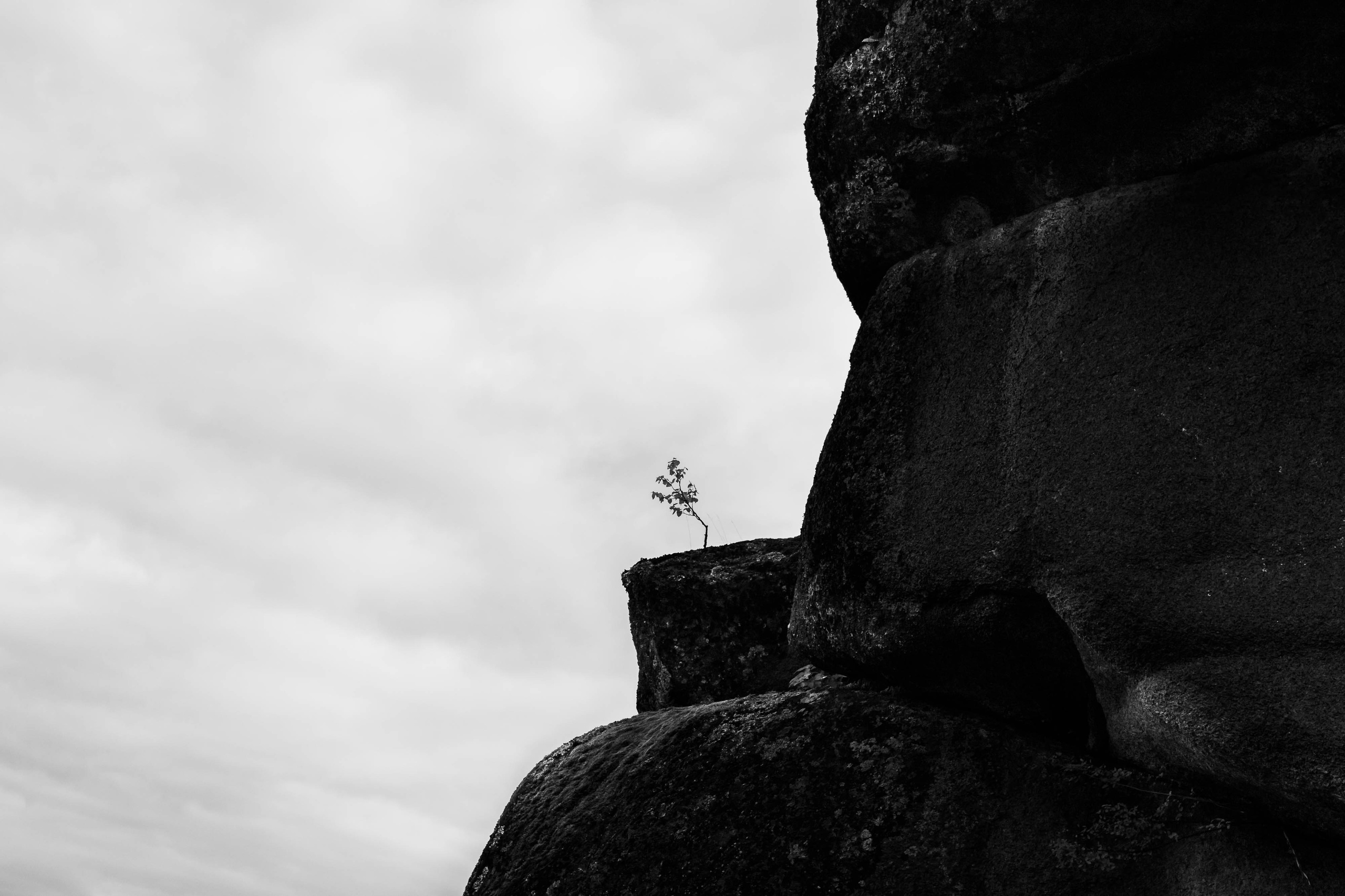 МИНИМАЛИЗМ. Фотограф в Москве Татьяна Макотра