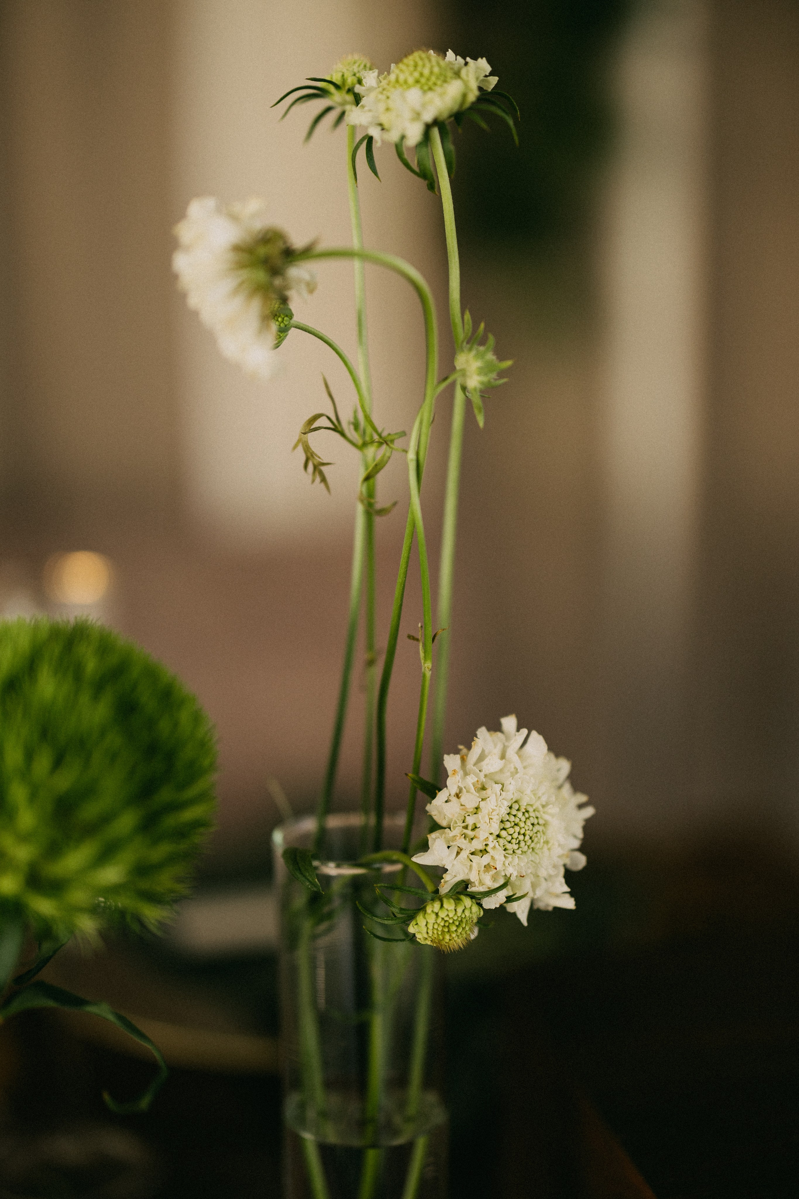 Masha x Sasha. Daria Chigintseva Photographer