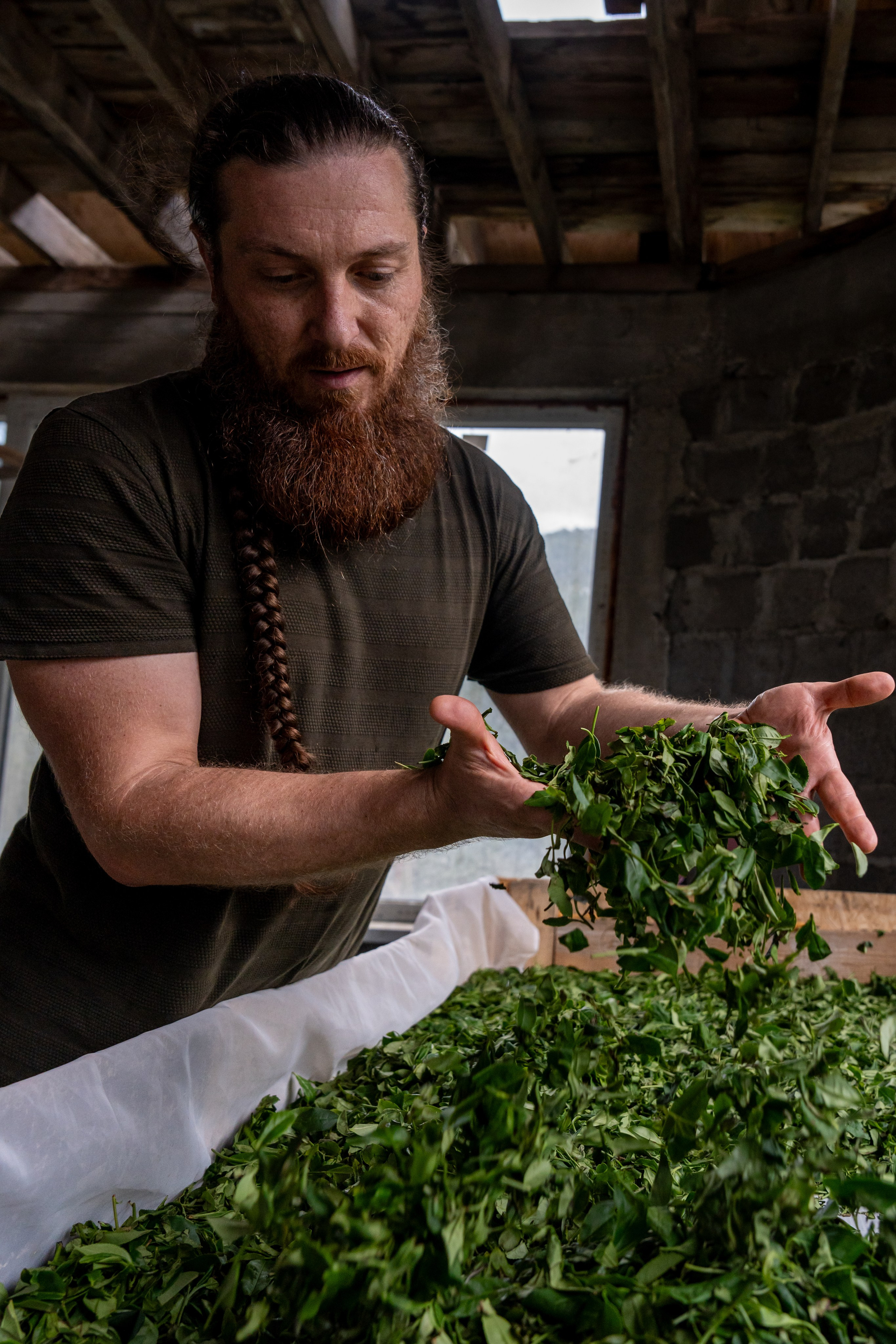 Яндекс.Еда — Сочинский чай. Репортажный фотограф в Красной Поляне и Сочи Павлюченко Екатерина