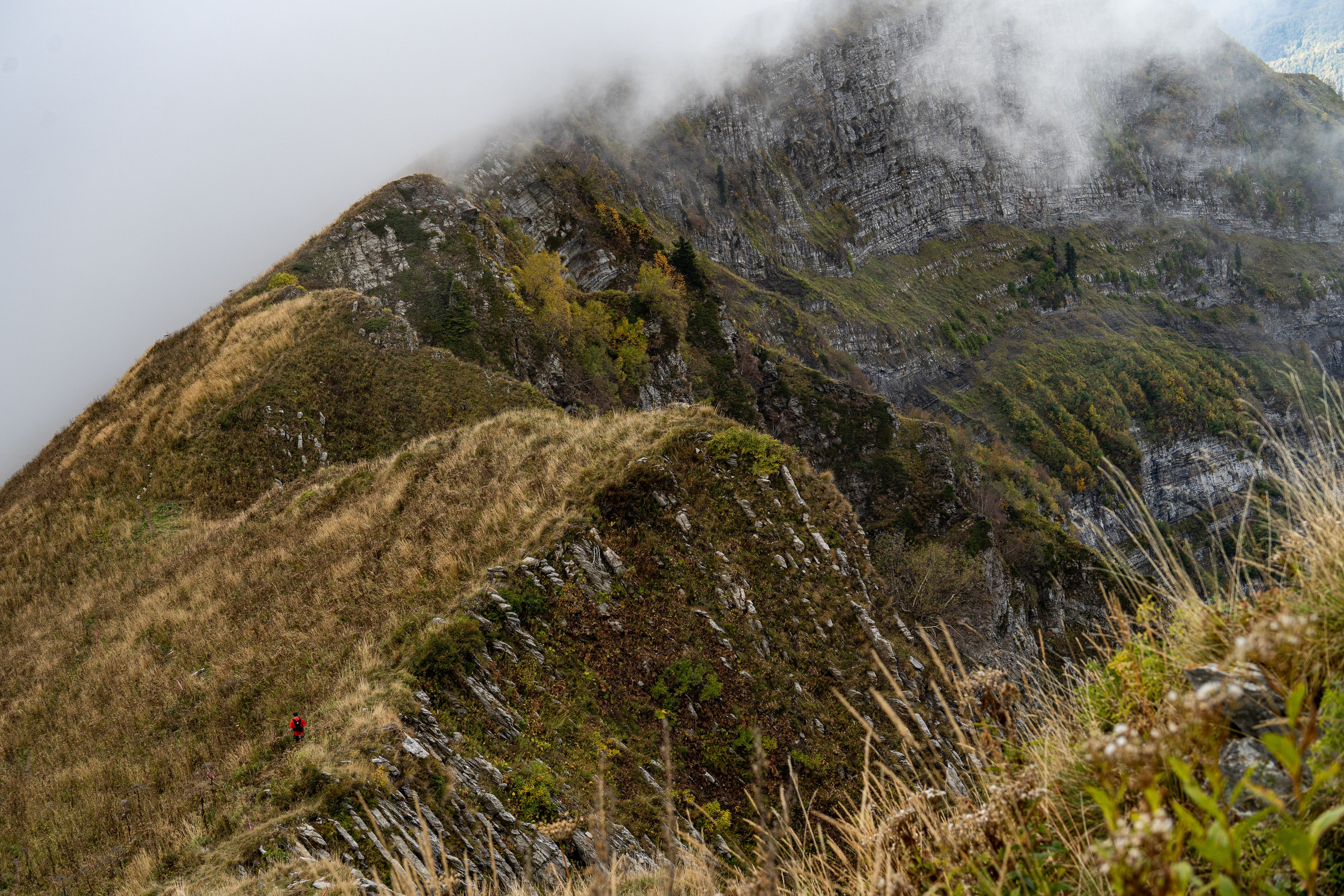 Трейловый бег «Альпиндустрия. Три курорта''. Репортажный фотограф в Красной Поляне и Сочи Павлюченко Екатерина
