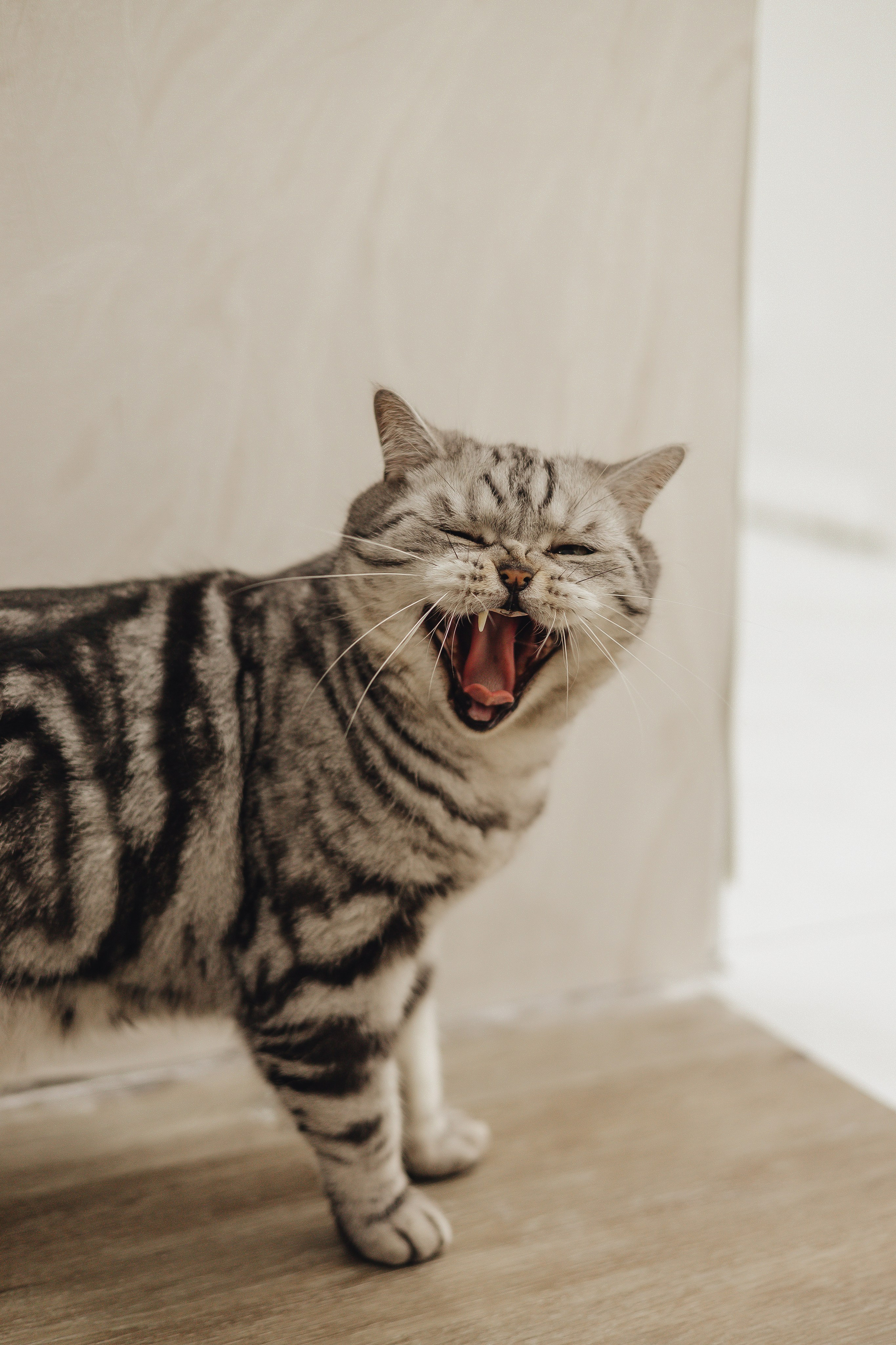 Выписка Варвары. Свадебный и семейный фотограф Пушкин Царское Село СПБ Питер Санкт-Петербург и Рязань Ольга Козлова