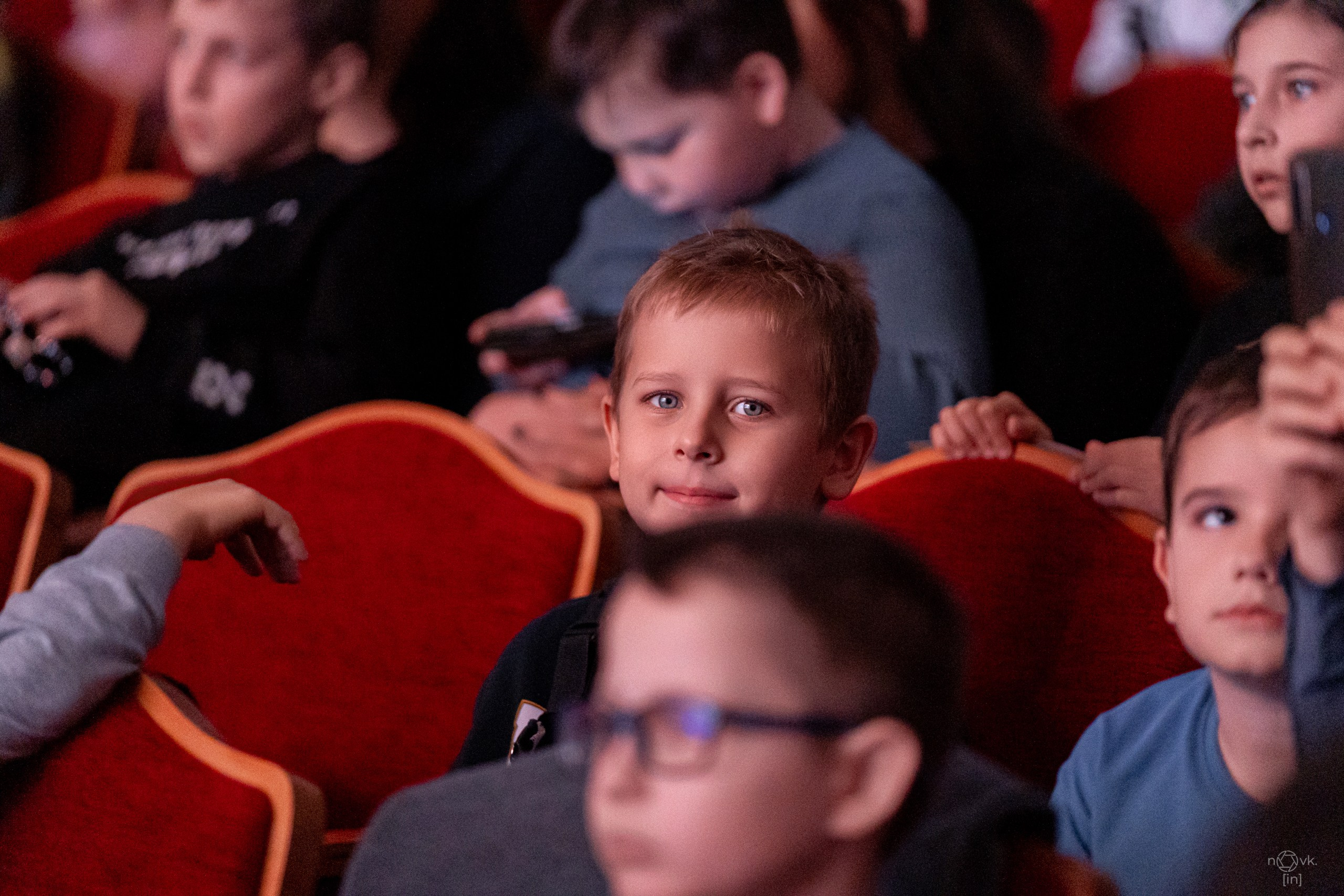 Ёлка. ФОТОГРАФ ИВАН НОВИКОВ | СТАВРОПОЛЬ