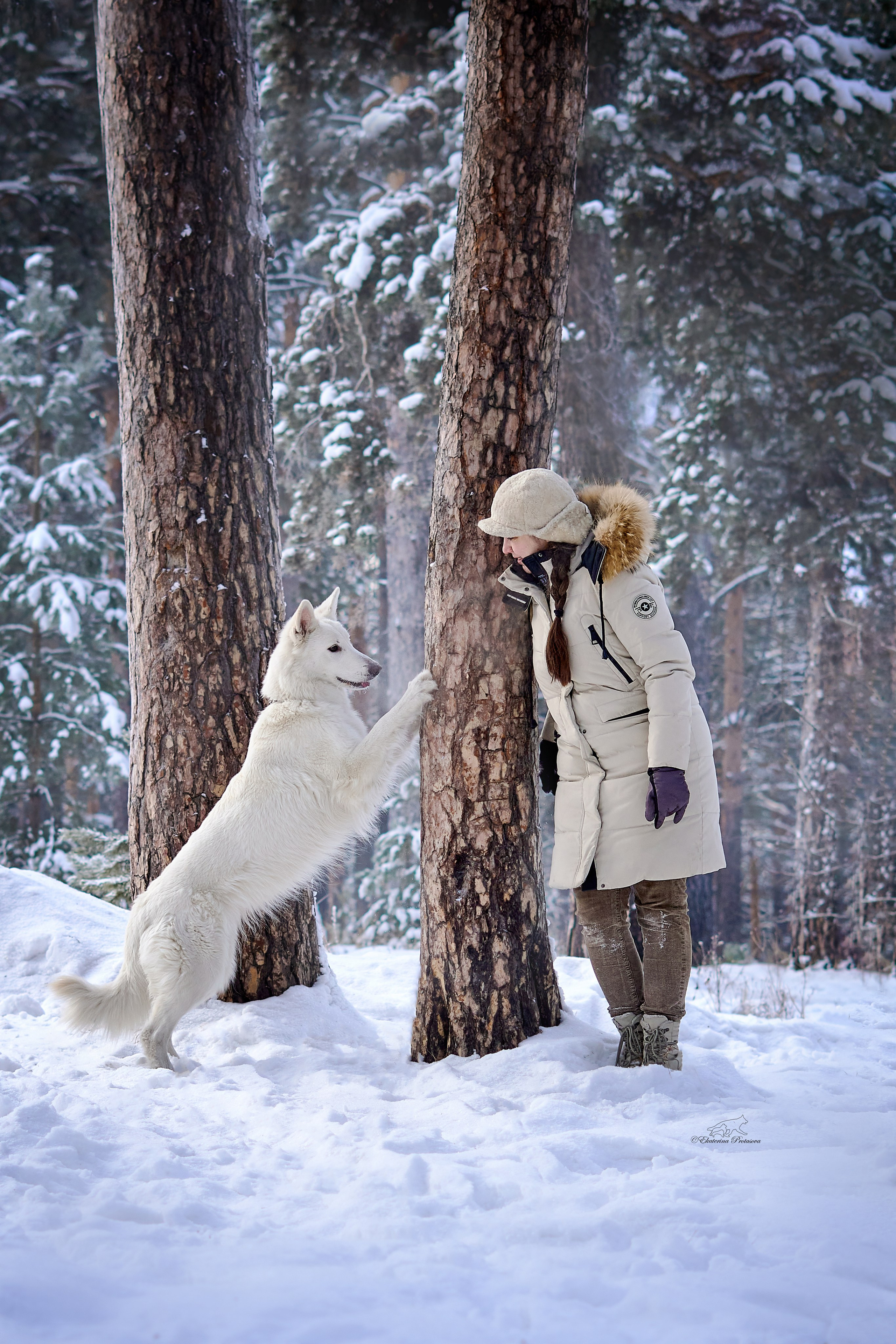 Ксения и ее овчарки. Фотограф-анималист в Иркутске