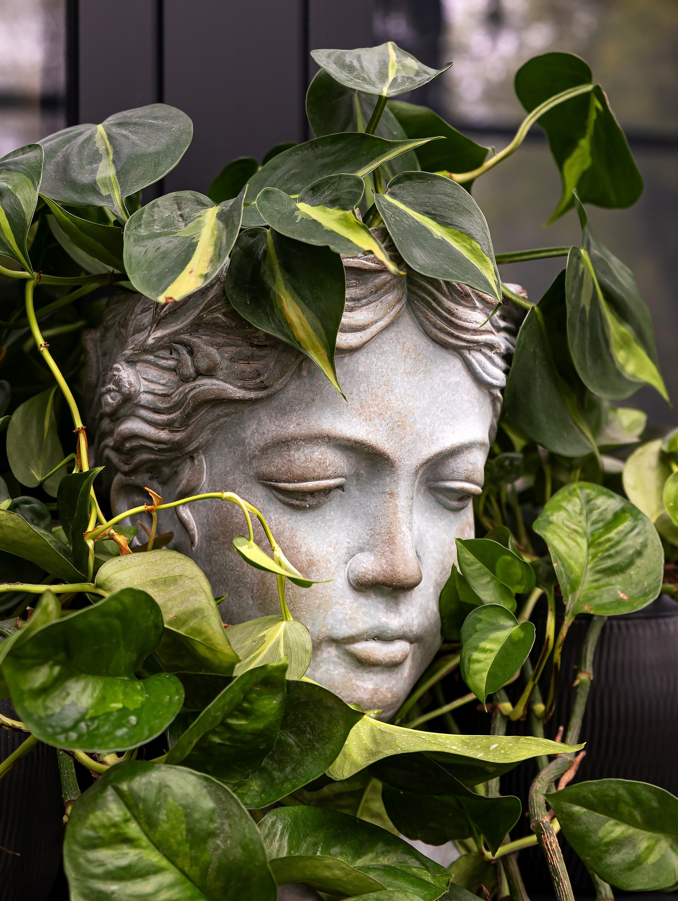 Интерьерный фотограф Виталина Ворошкевич