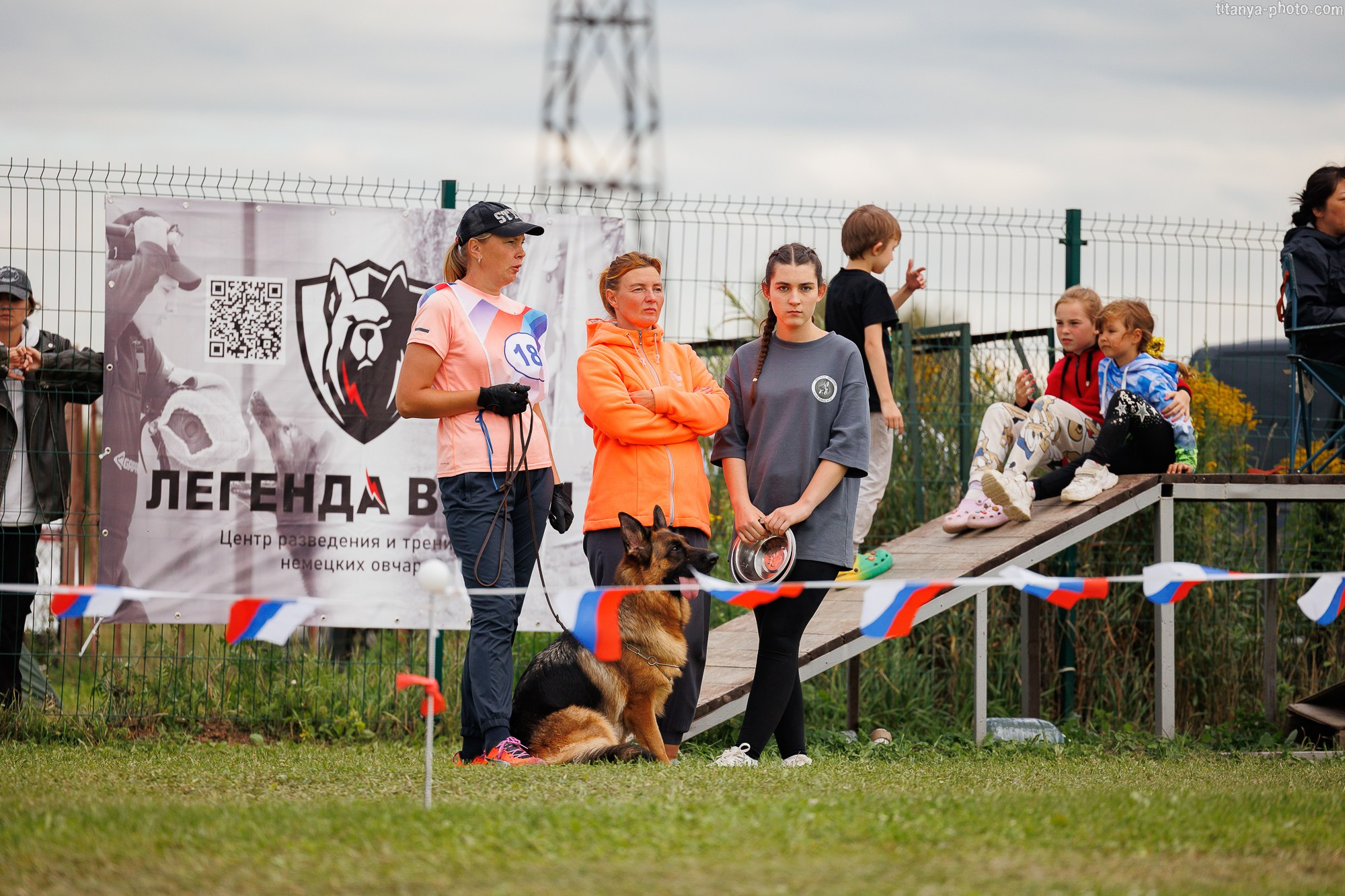 Фотографии с монопородных выставок немецких овчарок. Фотограф собак, фотограф-анималист Аня Титова (Titanya). Москва