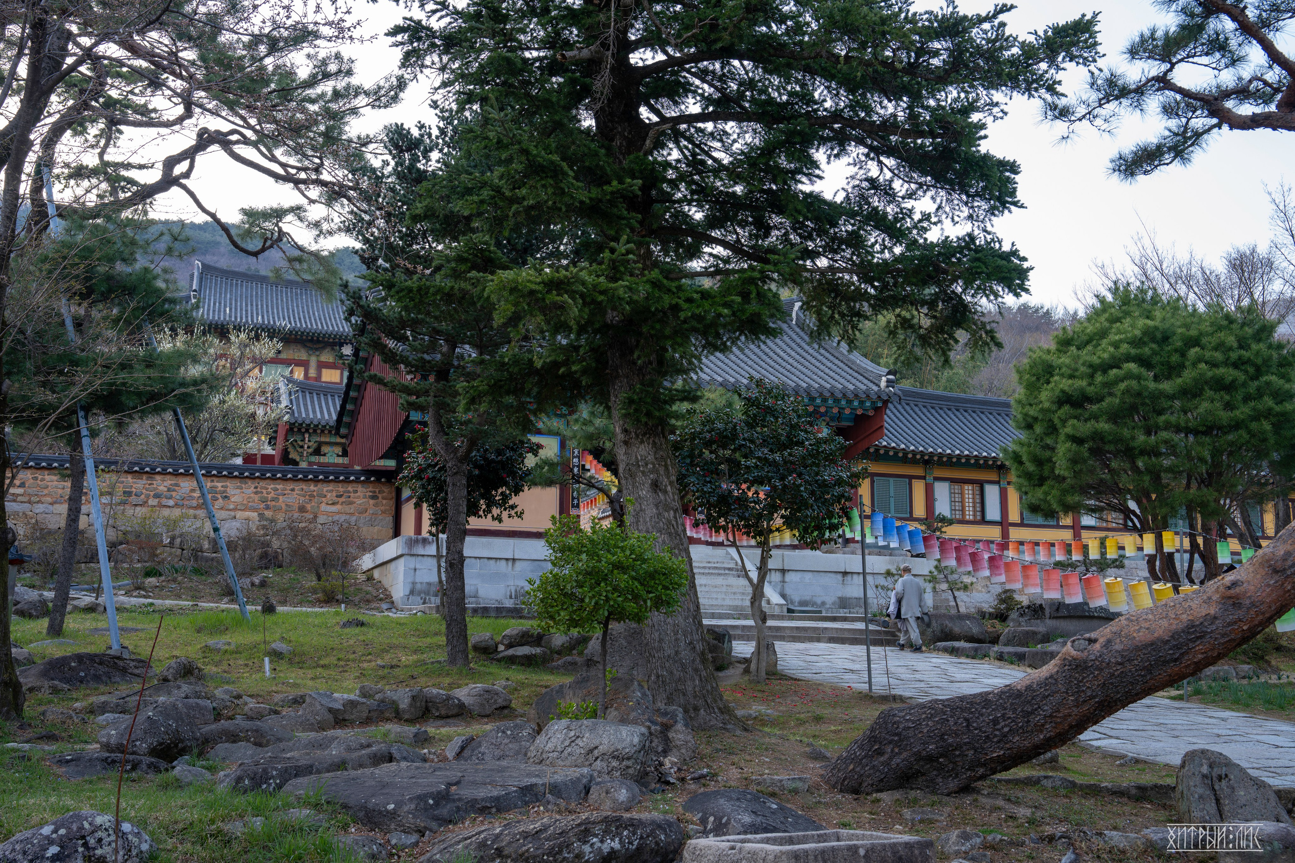 Южная Корея. Фотограф-путешественник Самойлов Максим «Sly Fox»