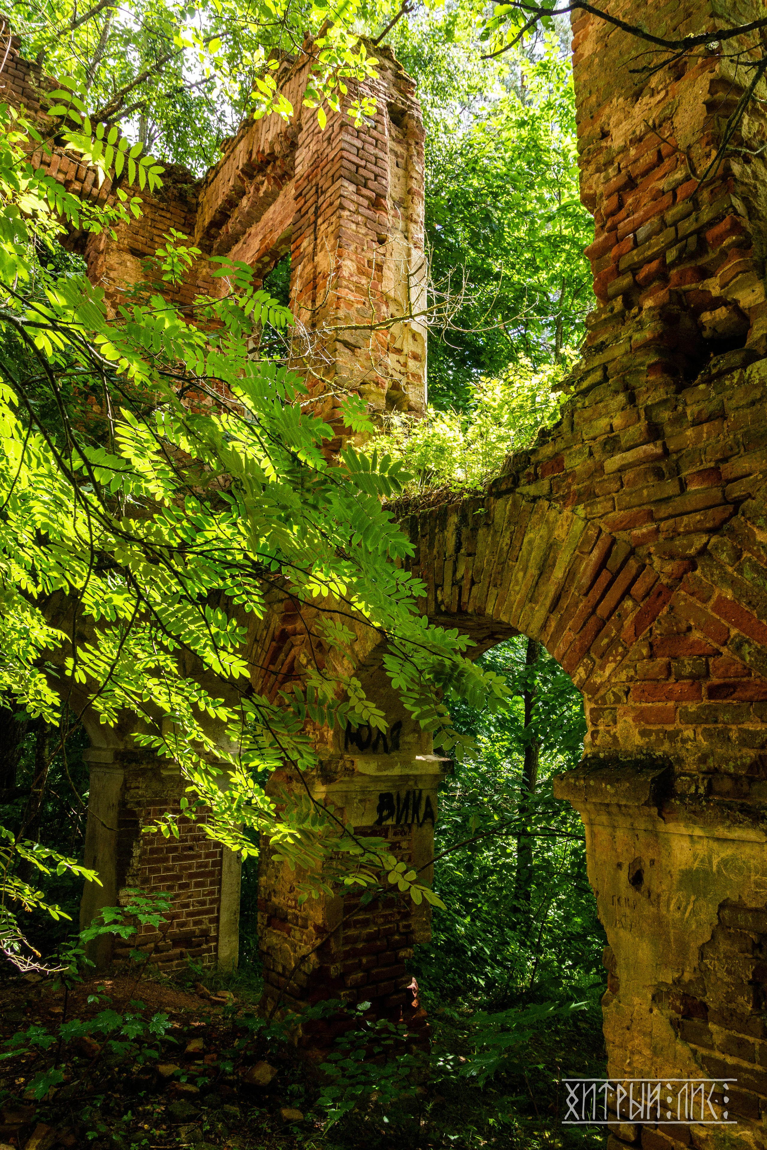Беларусь. Фотограф-путешественник Самойлов Максим «Sly Fox»
