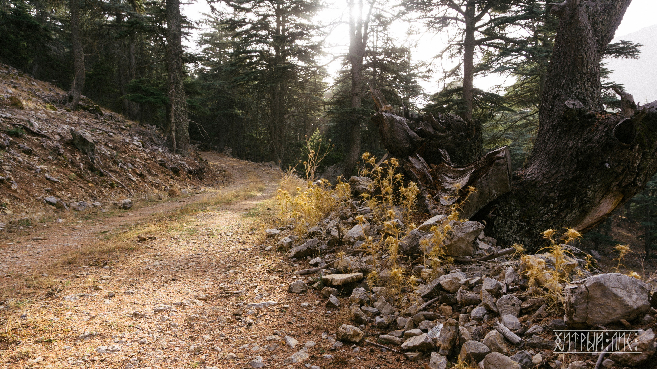 Турция. Ликийский путь. Фотограф-путешественник Самойлов Максим «Sly Fox»
