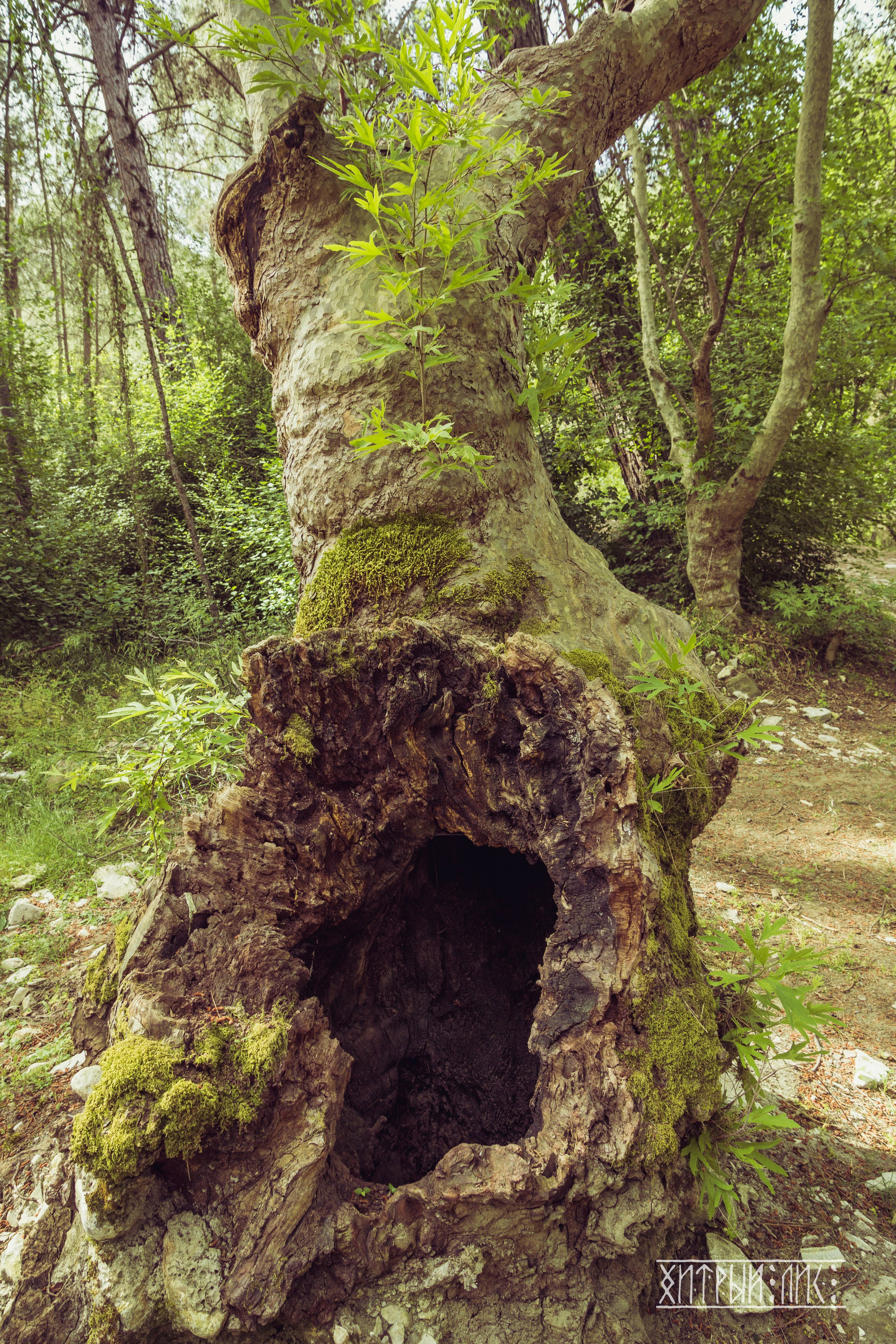 Кипр. Фотограф-путешественник Самойлов Максим «Sly Fox»