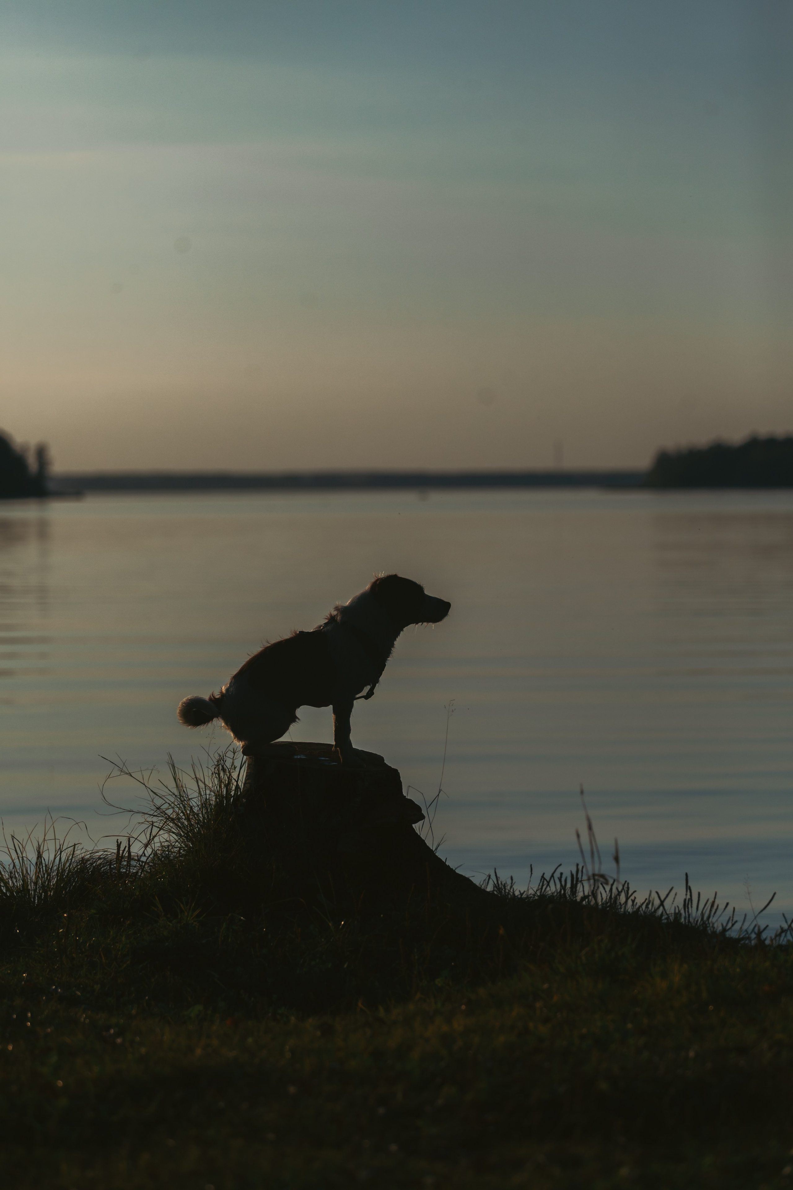 Фотопрогулка в Ленобласти. Фотограф-анималист Татьяна Степанова