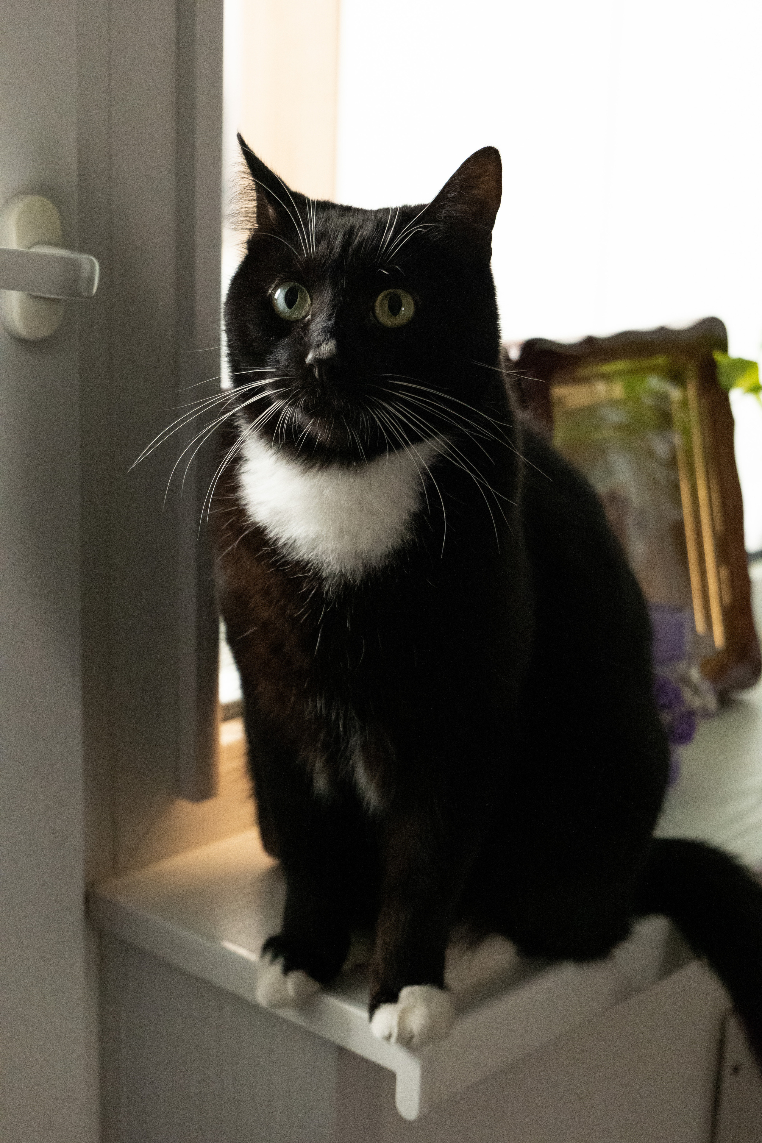 Домашняя фотосессия: «Евочке 1 год». Фотограф видеограф Ольга Василевская