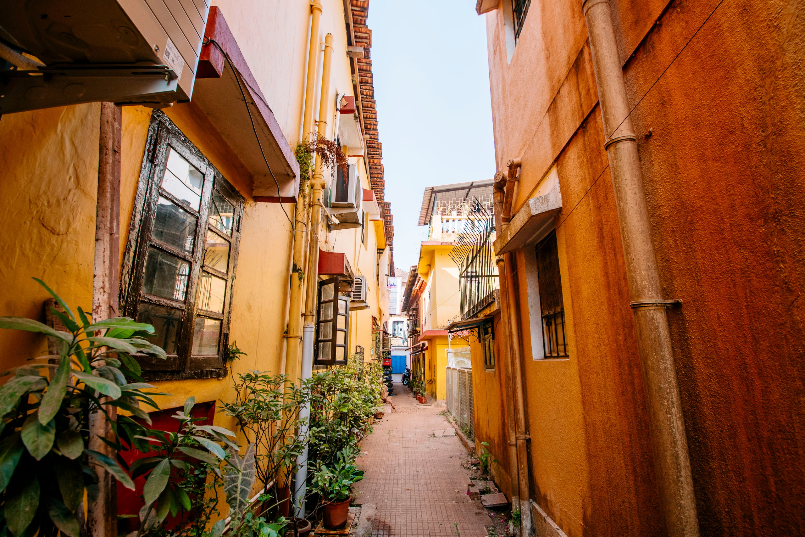 Гоа. индия. Iraogo