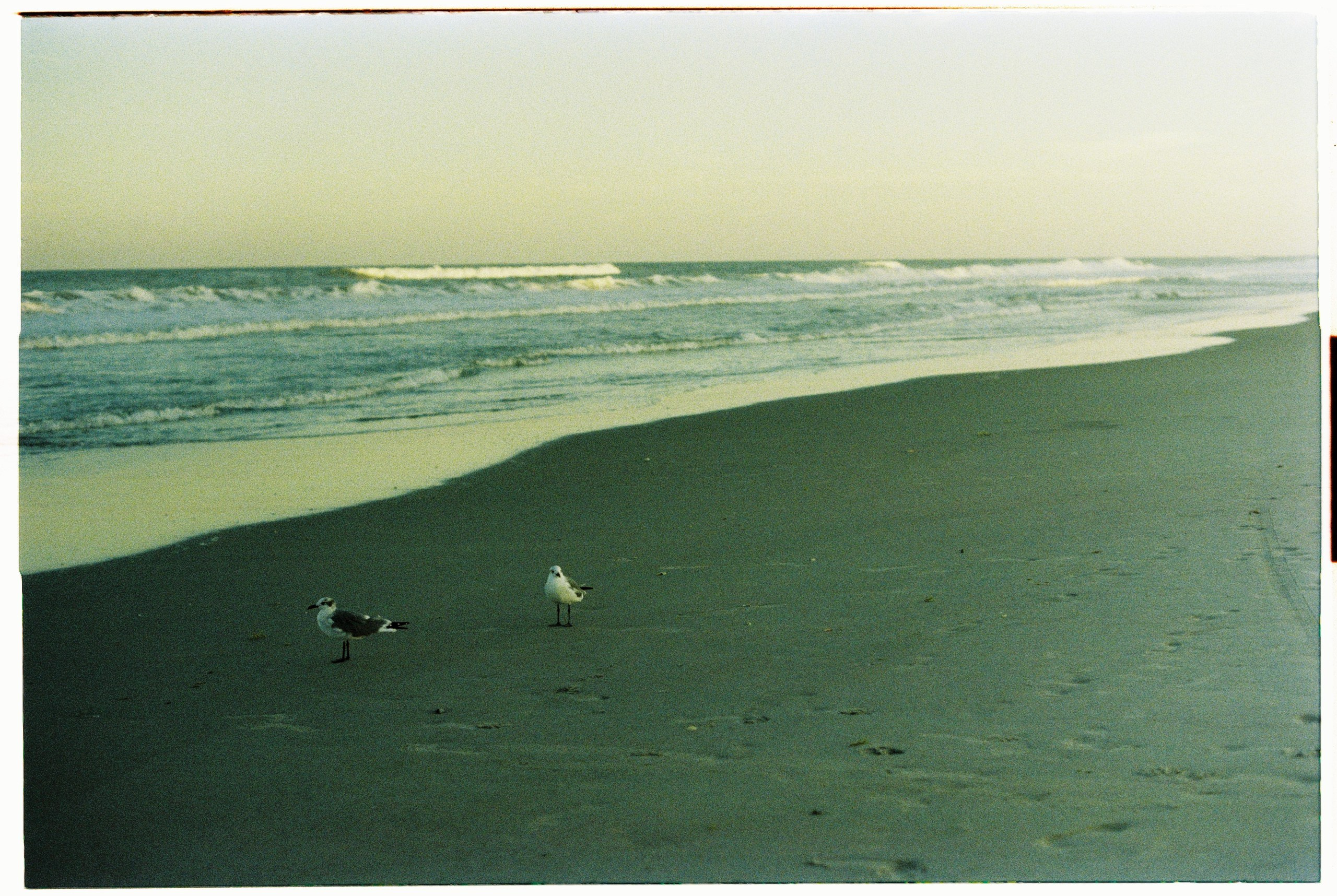 Florida. Егор Фотобрат — Портретный фотограф теперь в Ташкенте