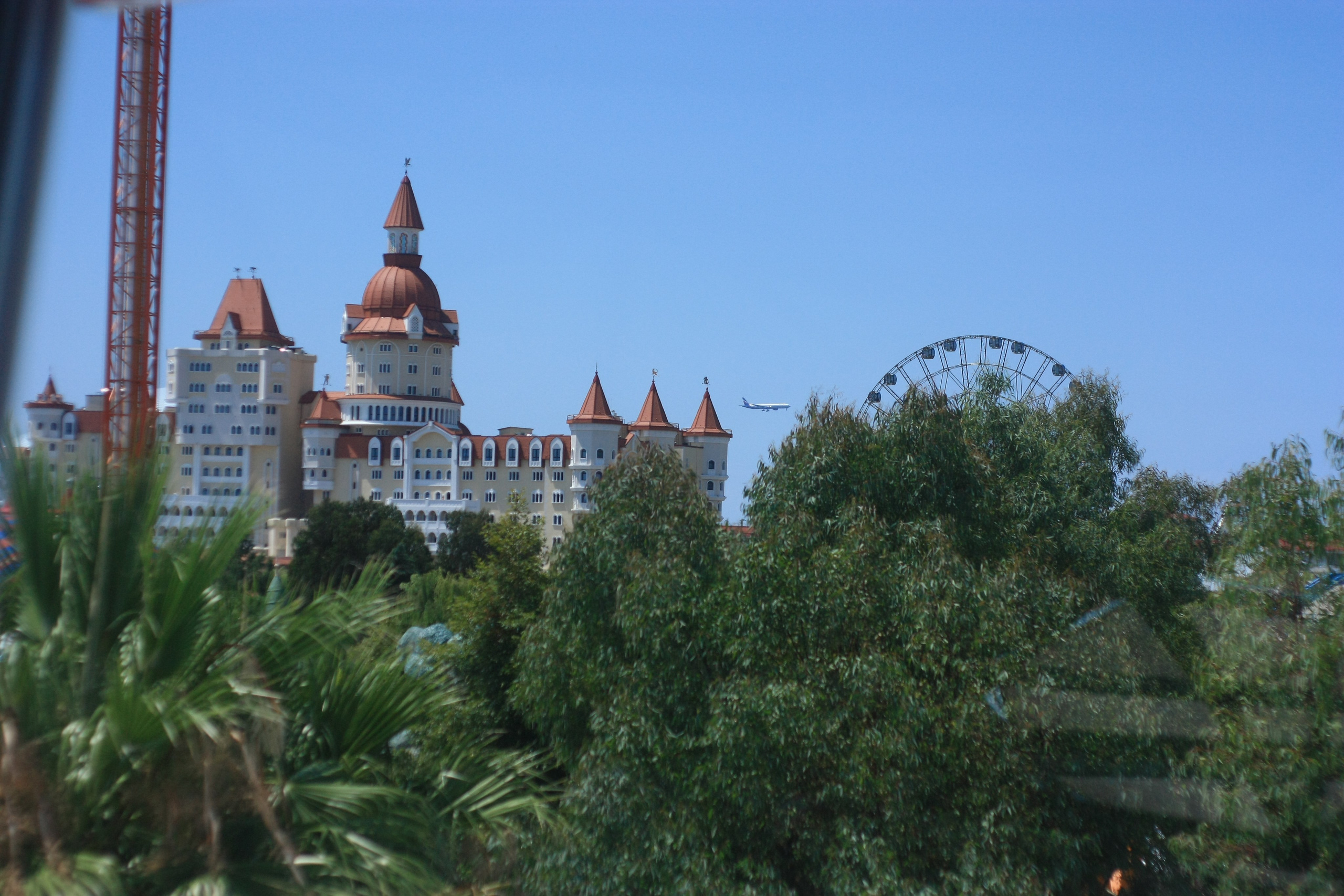 Первые кадры. Сочи — парк. Фотограф Роман Адлер