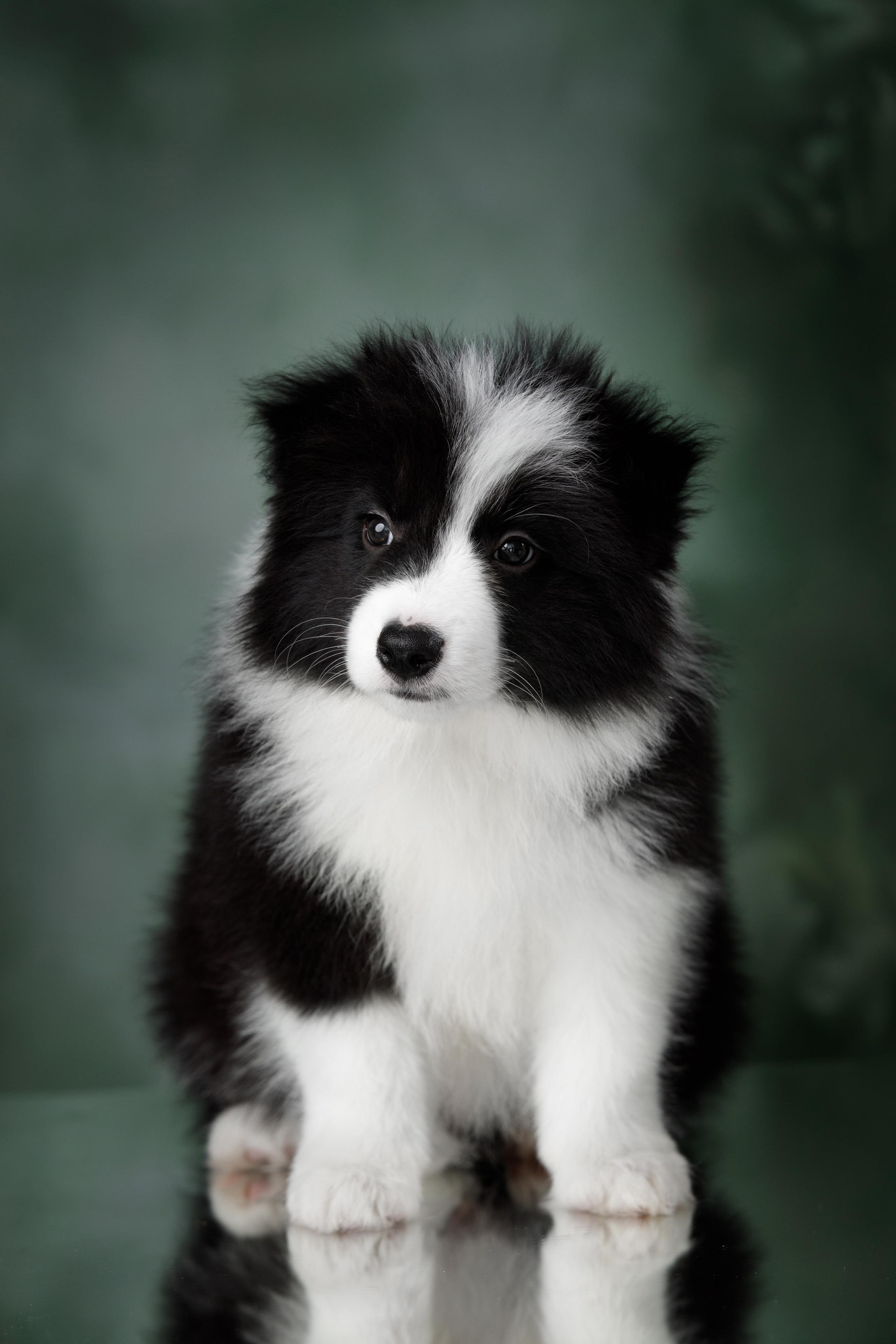 Март. Весна. 22. О нас