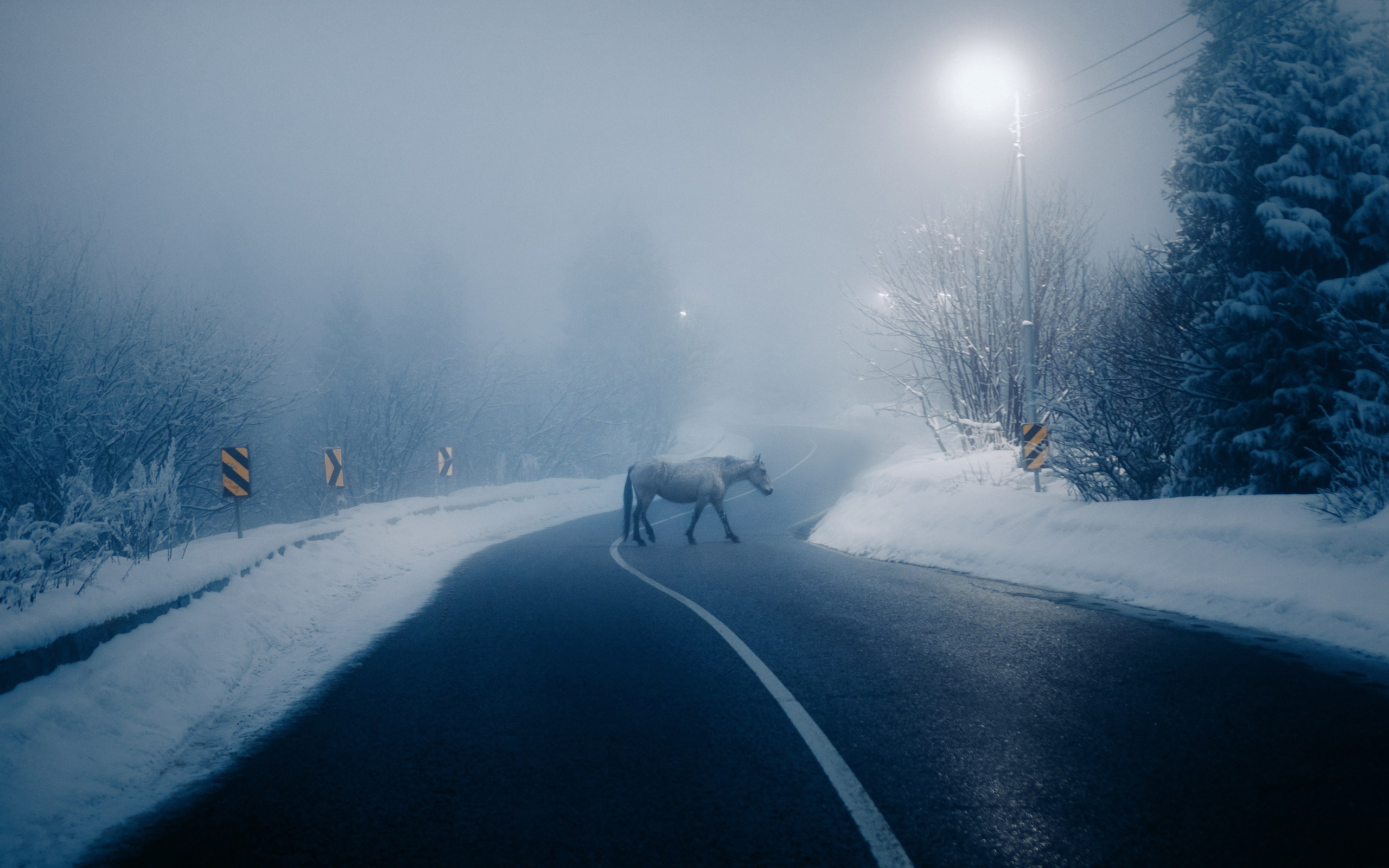 Жизнь. Фотограф Алматы | Весь мир — Никита Колодин