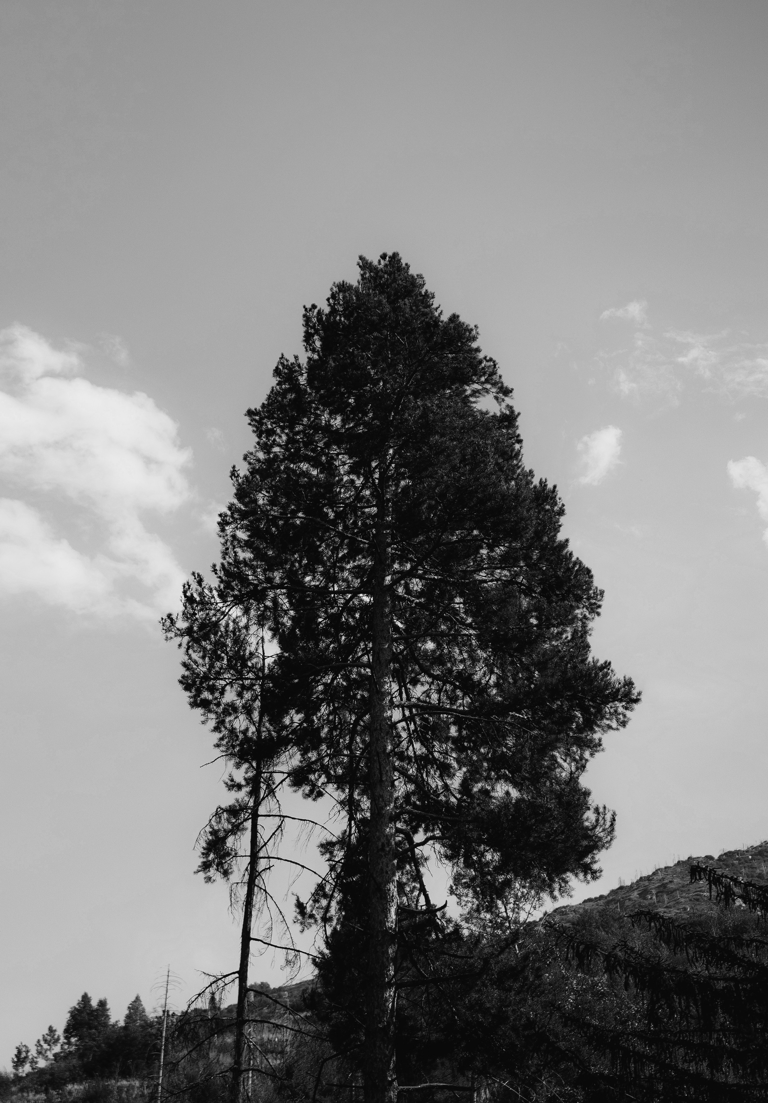 Жизнь. Фотограф Алматы | Весь мир — Никита Колодин