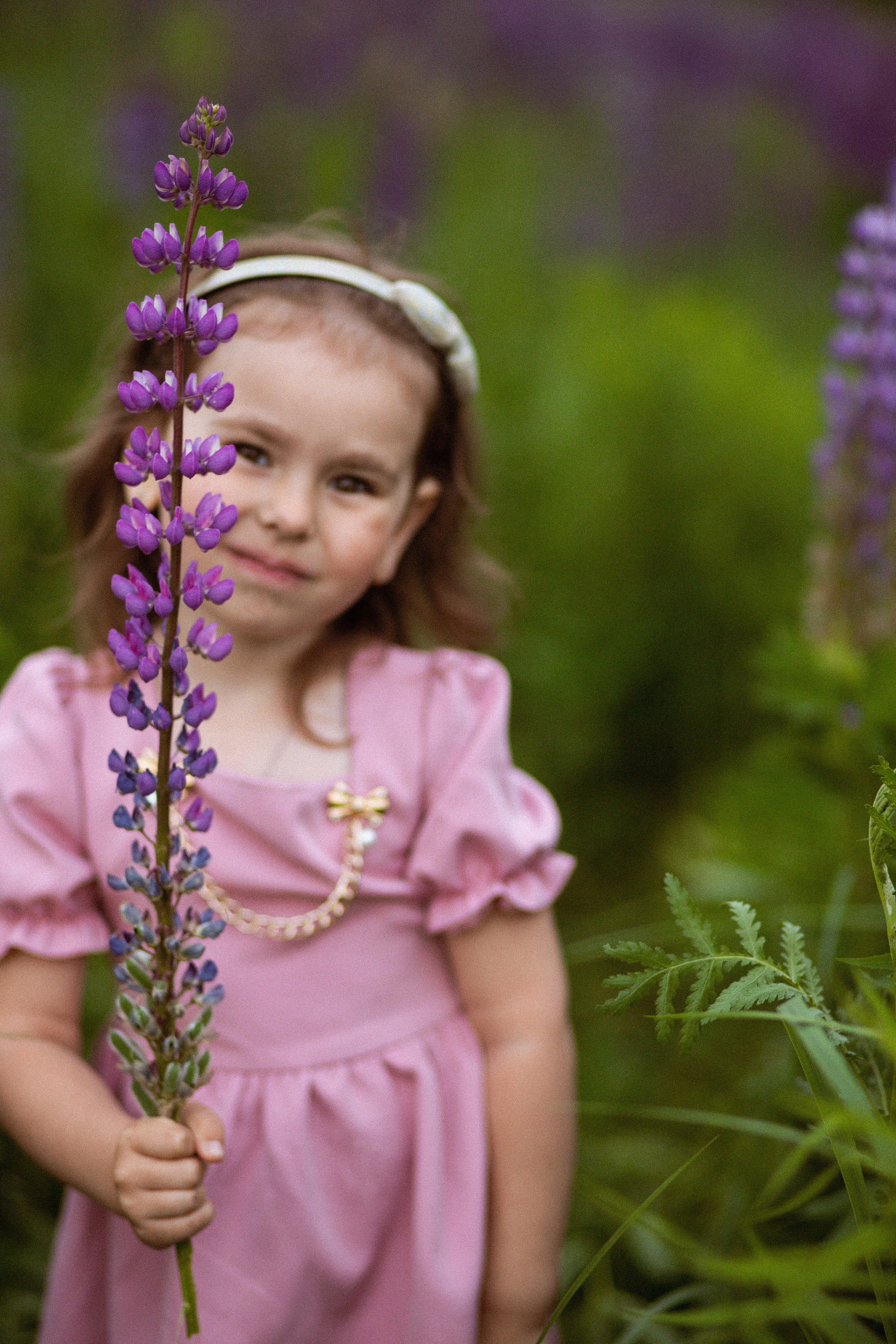 Июньские люпины. Фотограф в Москве/Санкт-Петербурге